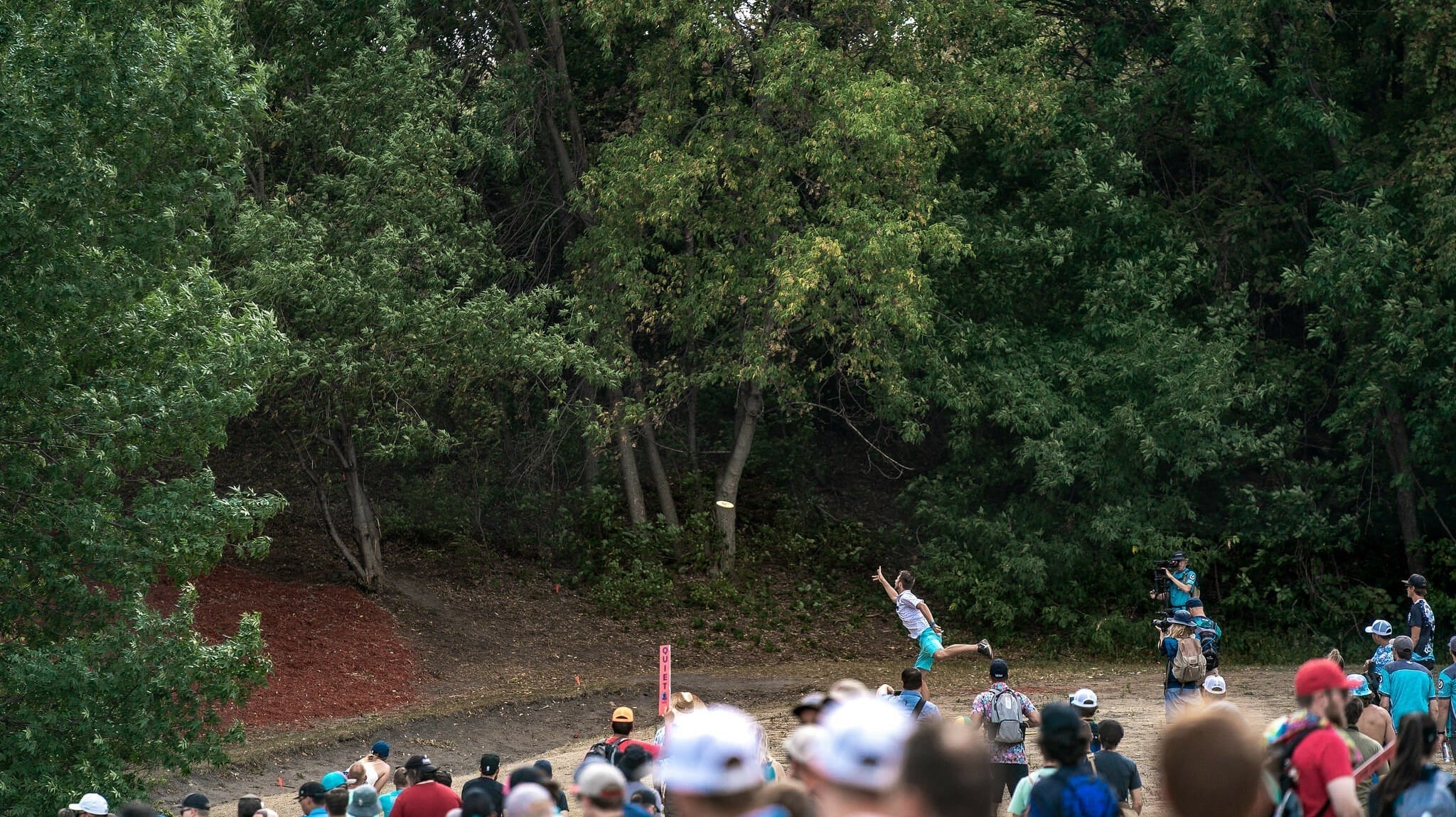 Best Disc Golf Discs for Tight Wooded Courses (2026 Guide)