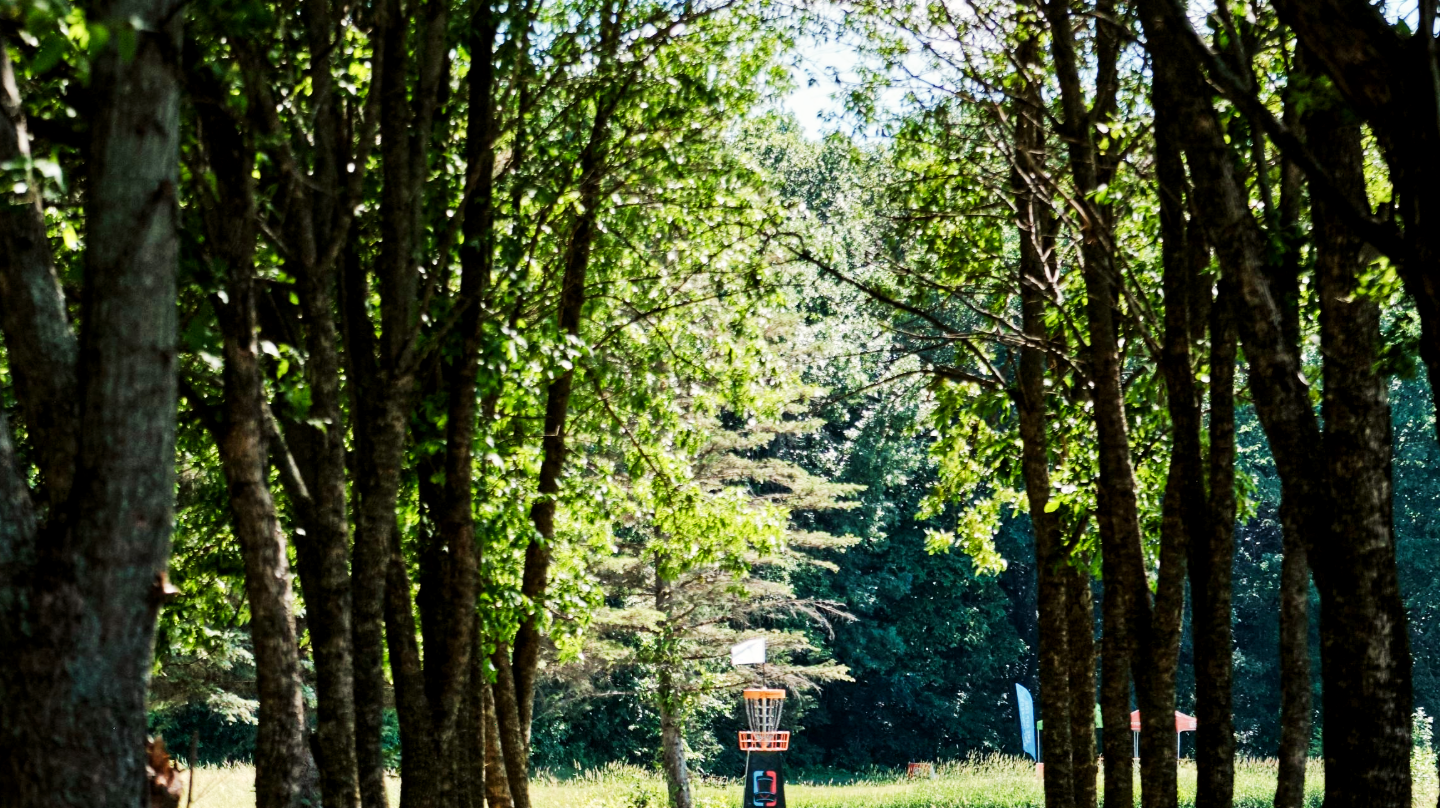 Beginner Disc Golf Guide: What You Need & Mistakes to Avoid