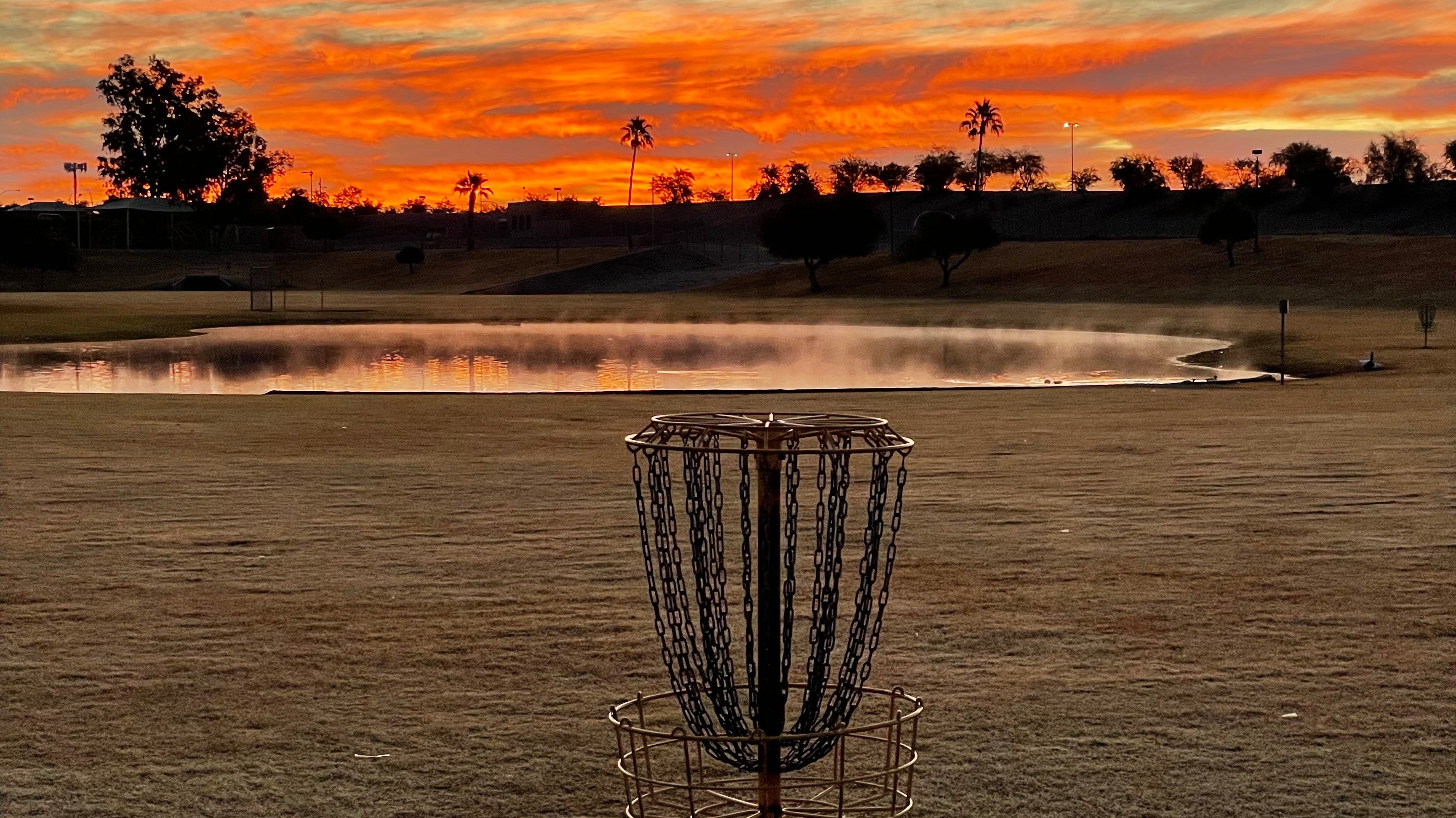 Disc Golf Plastic Types Explained: Which Plastic Is Right for You?