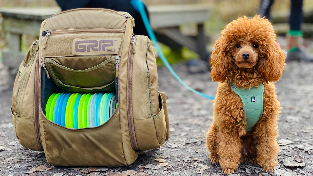 brown sitting dog beside open brown bag