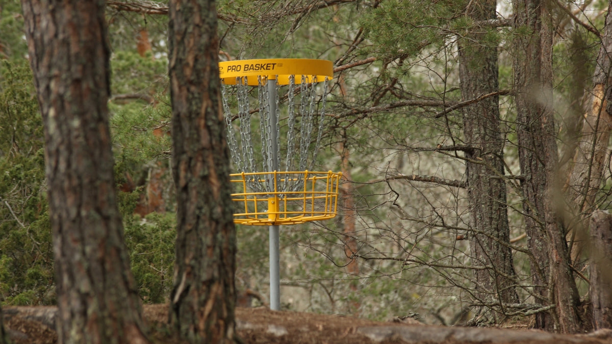yellow and black metal signage near trees during daytime