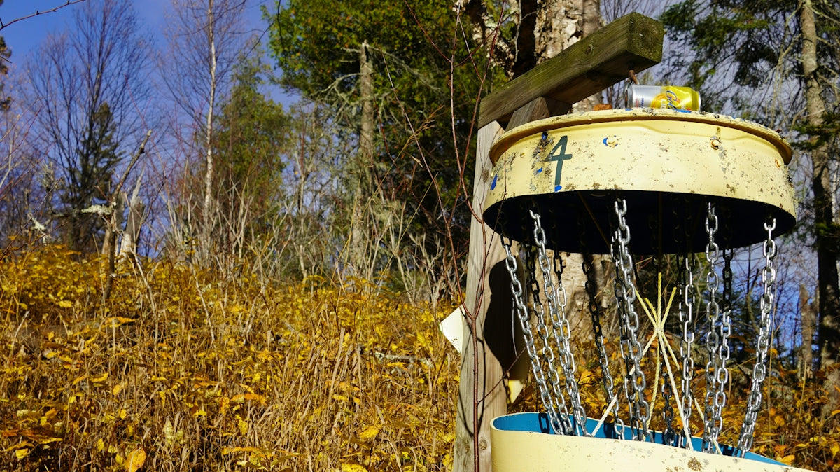 a broken outhouse in the woods with a tree in the background