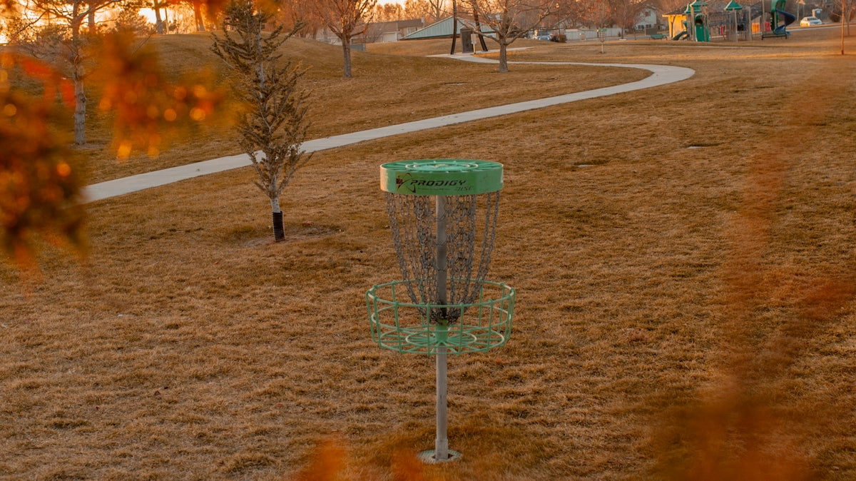 a frisbee golf goal in a park with a tree in the background