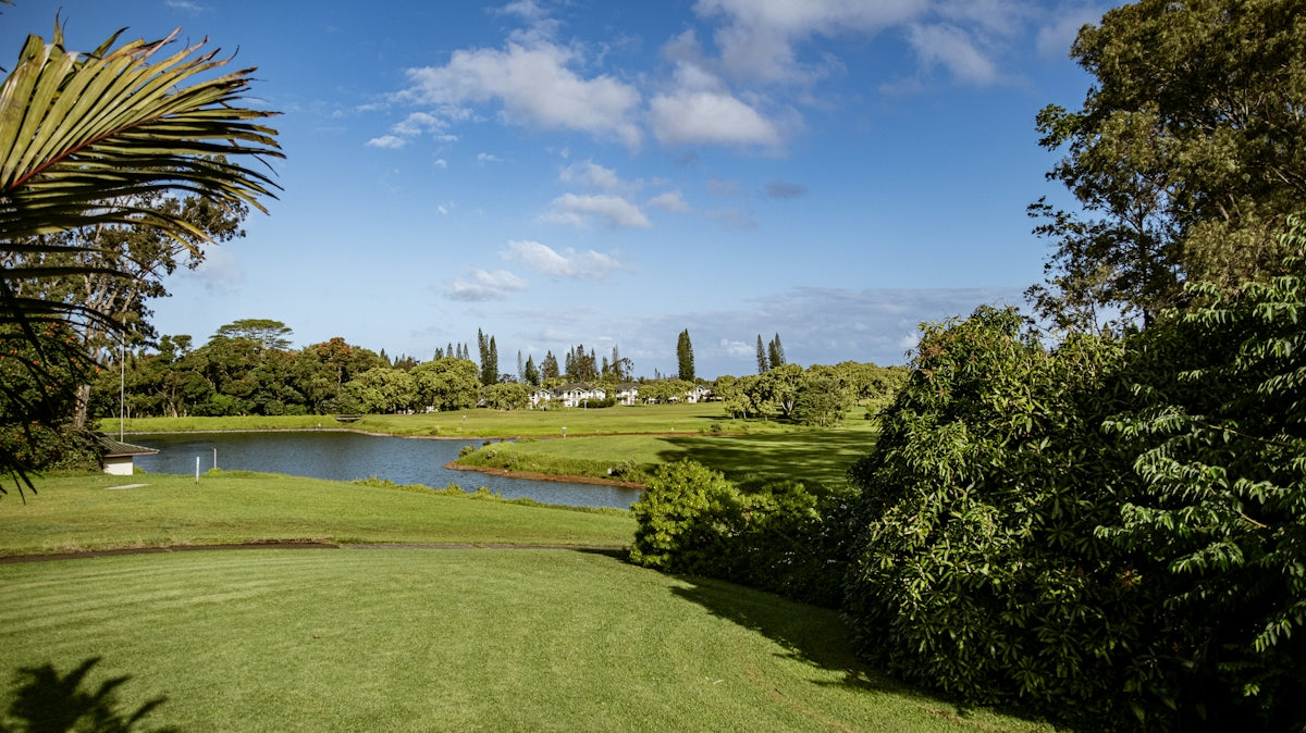 a view of a golf course from a distance