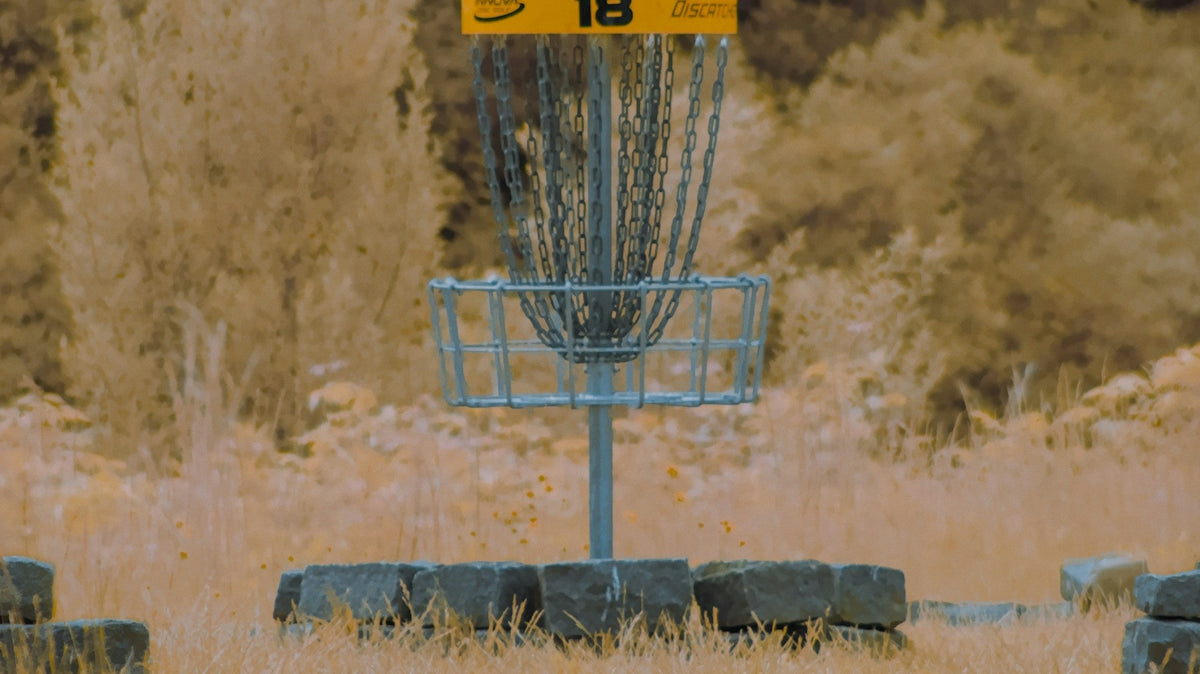 a frisbee golf hole in a field with trees in the background