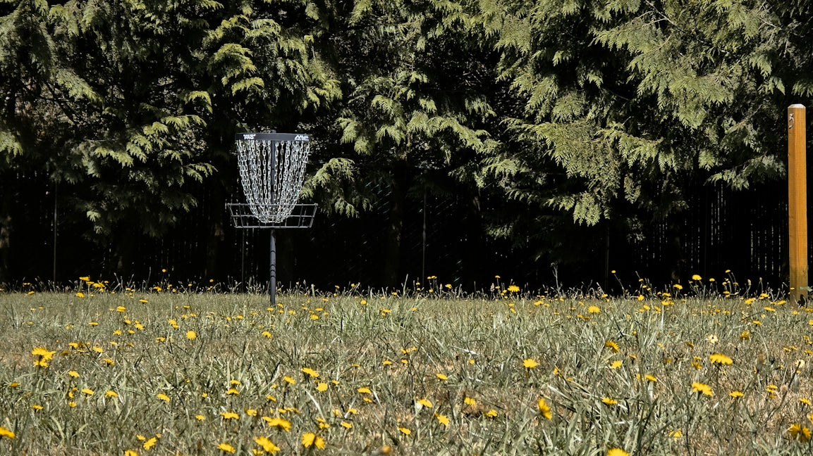 A field with a frisbee and a frisbee golf basket
