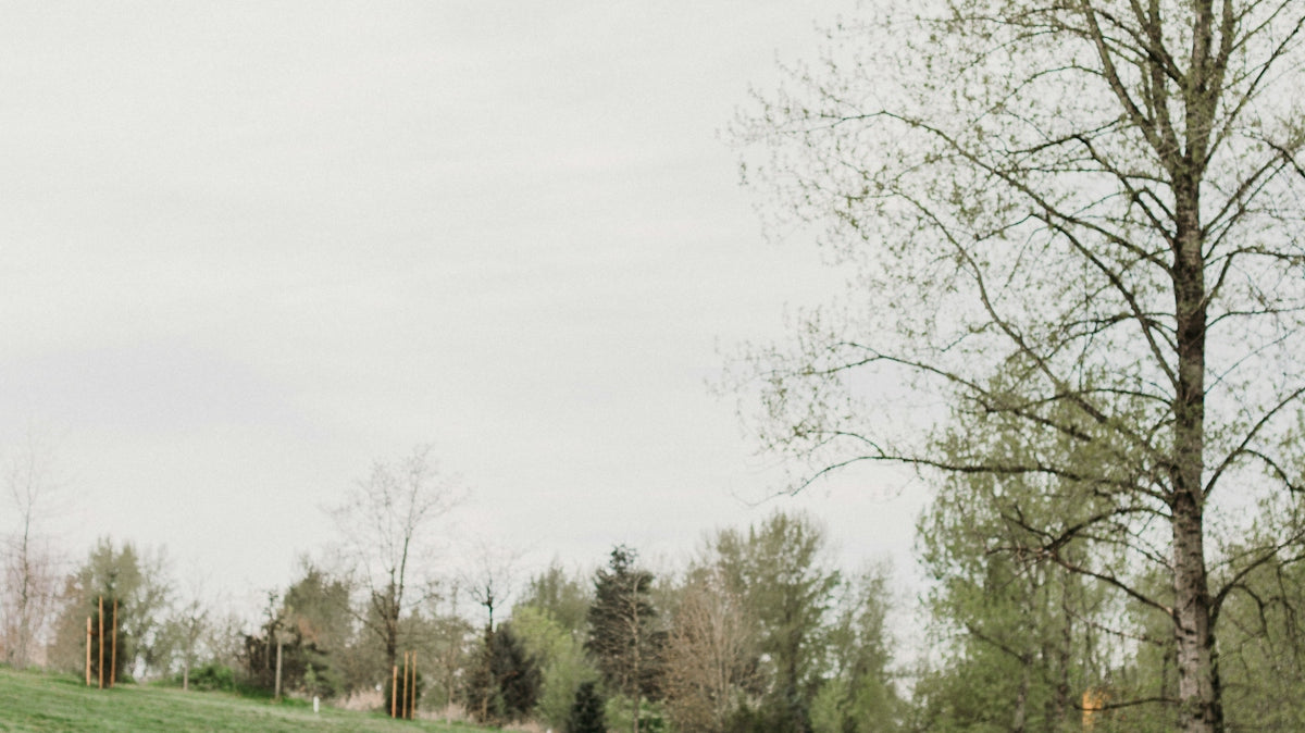 Person walking on grassy path towards trees