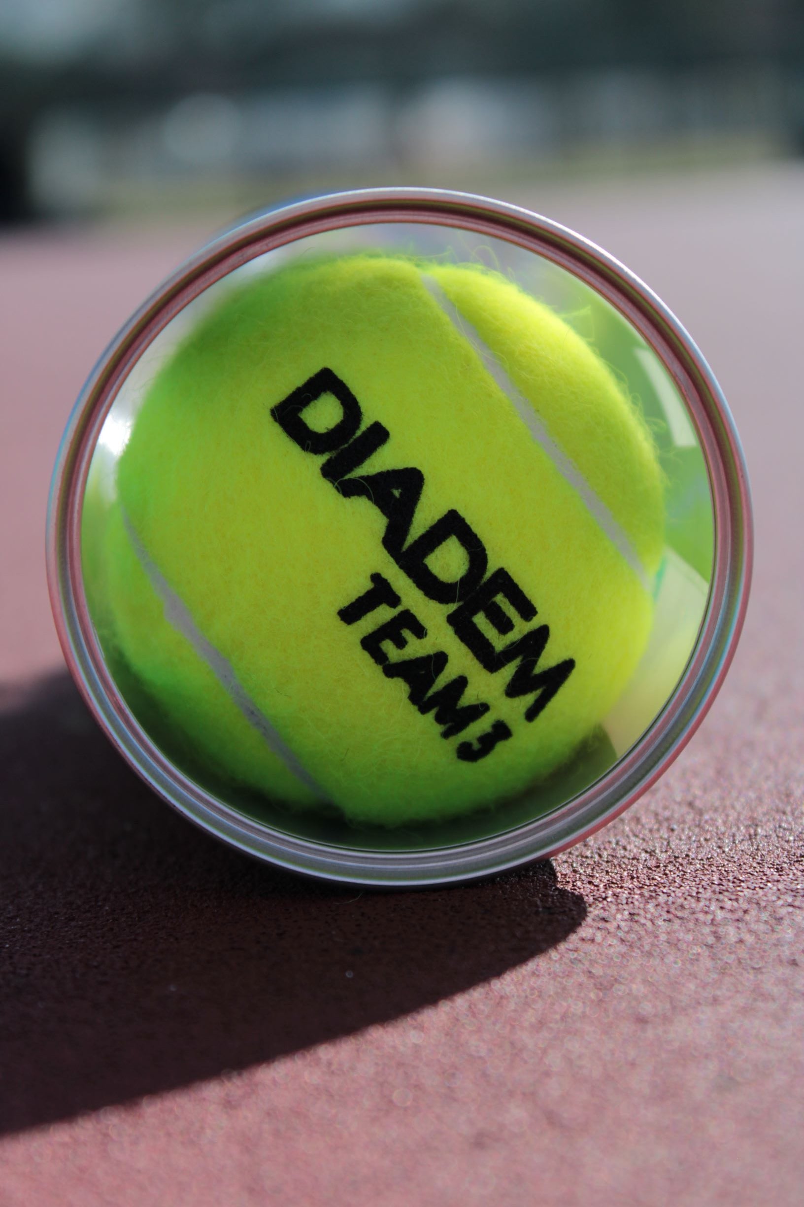 Diadem Premier Team Ball - Case