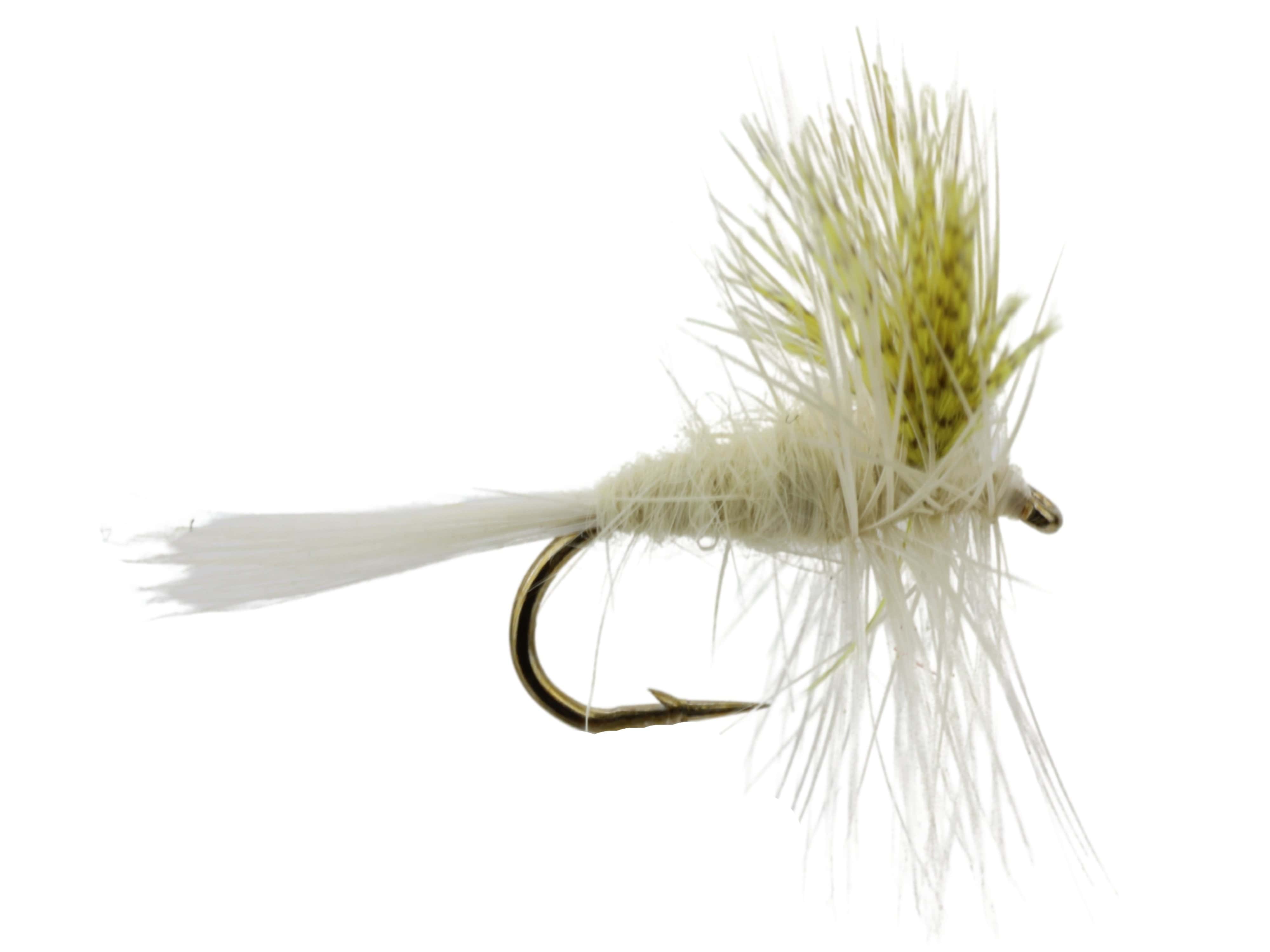 Wild Water Fly Fishing Light Cahill, Size 14, Qty. 6