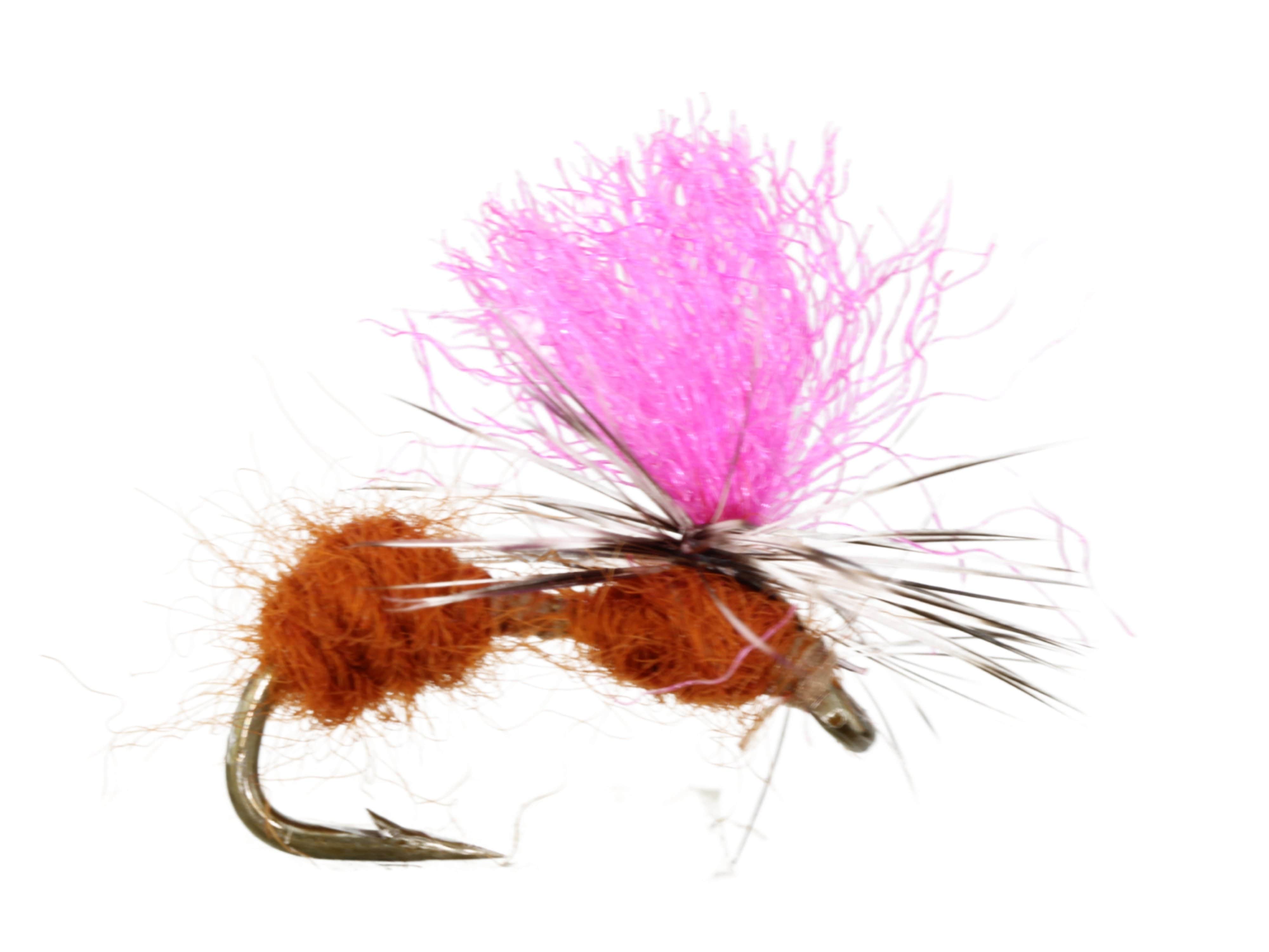 Wild Water Fly Fishing Mobile Ant, Size 14, Qty. 6