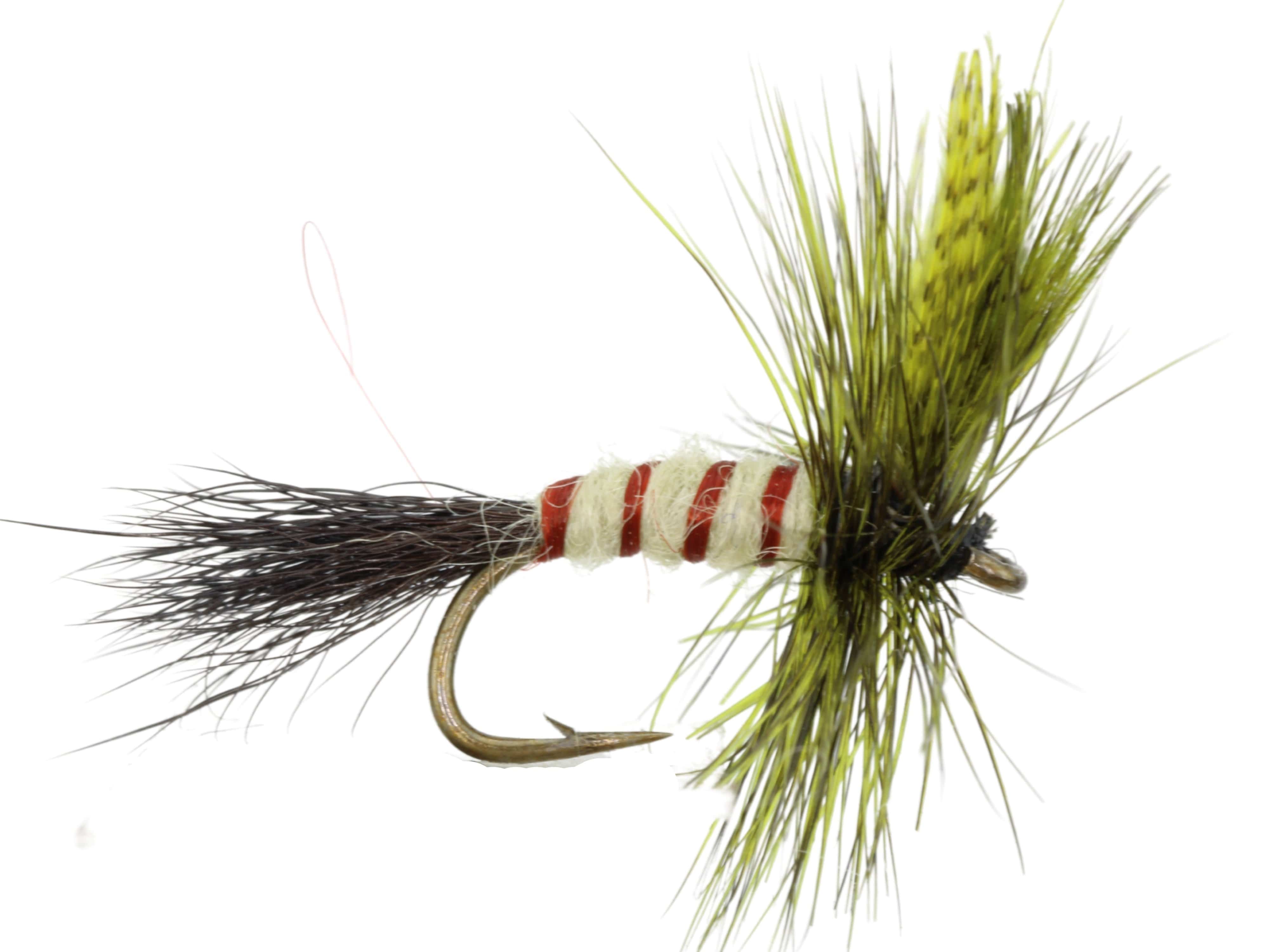 Wild Water Fly Fishing Olive Eastern Drake, Size 12, Qty. 6
