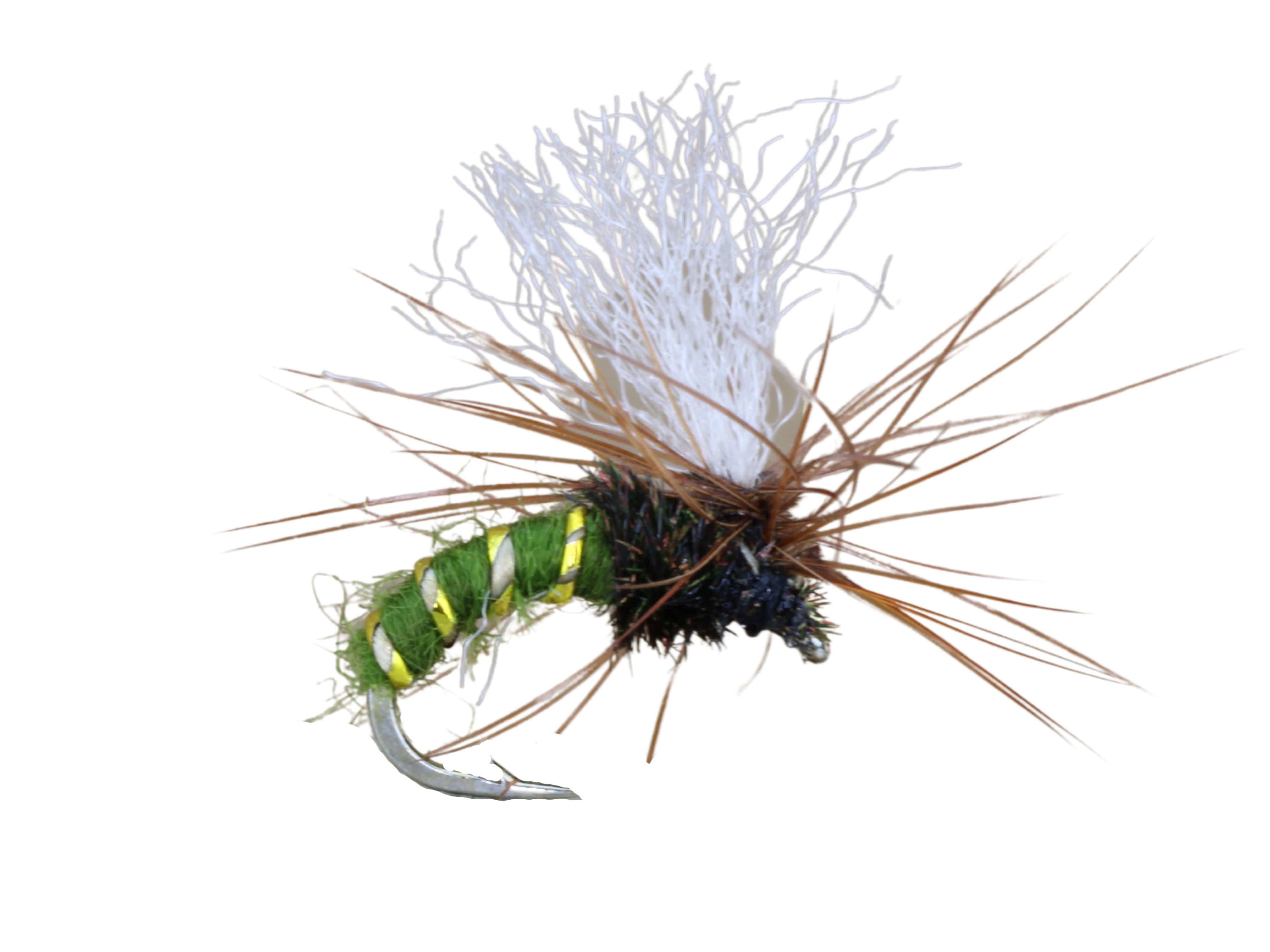 Wild Water Fly Fishing Olive Kinkhammer, Size 14, Qty. 6