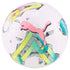 Puma Orbita 6 MS Training Soccer Ball
