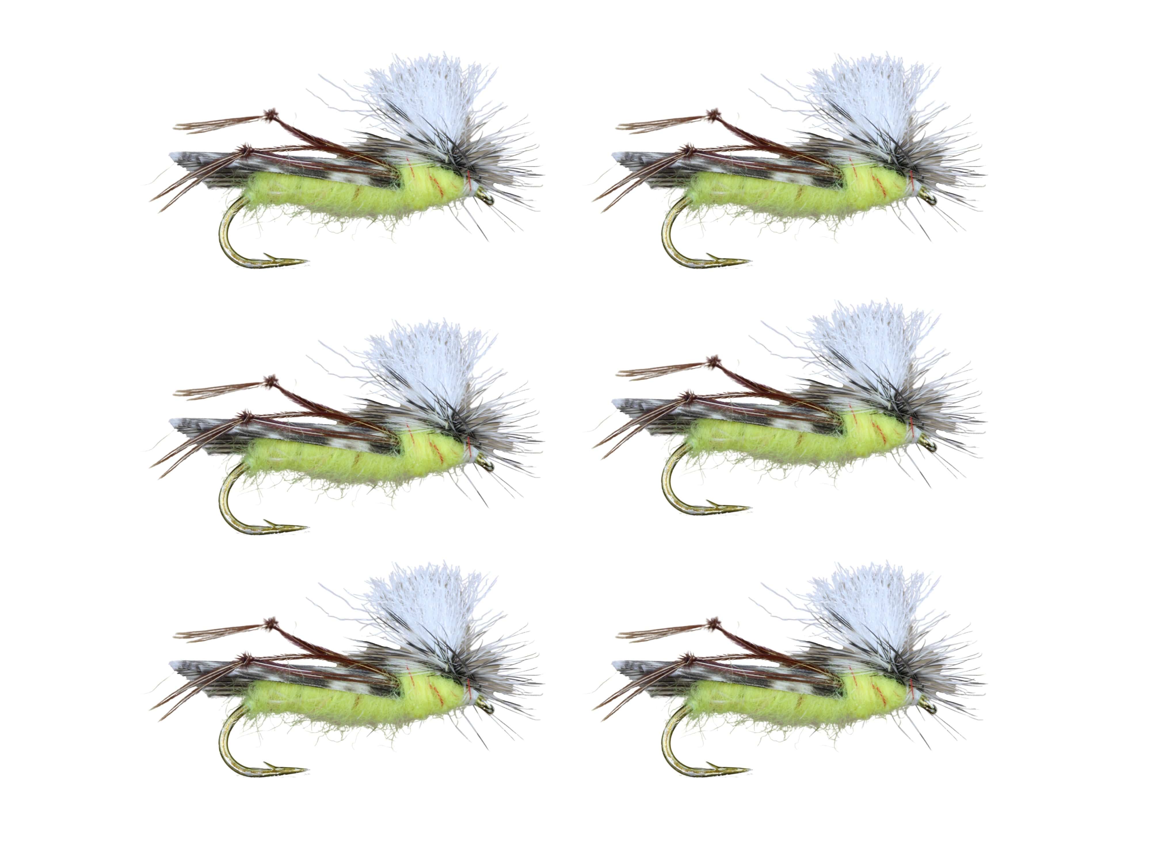 Wild Water Fly Fishing Parachute Hopper, Size 10, Qty. 6