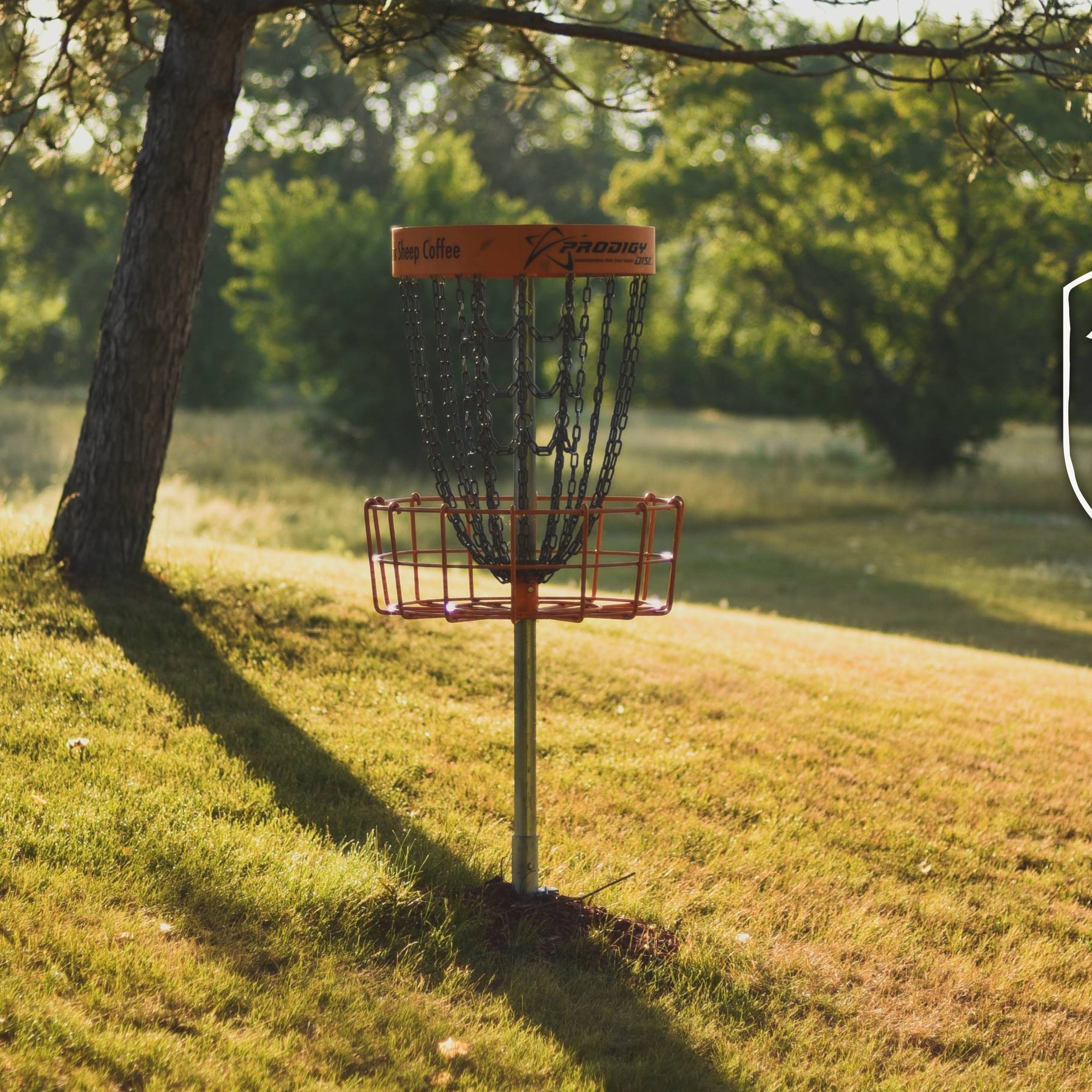 Lost Disc Return – The Preserve Disc Golf Course - Gotta Go Gotta Throw