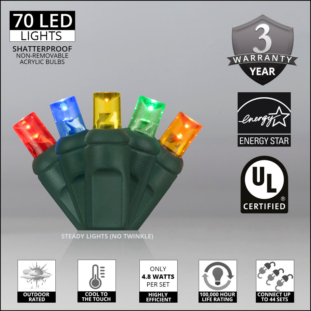 Holiday Lighting Management 5mm LED Outdoor Lights