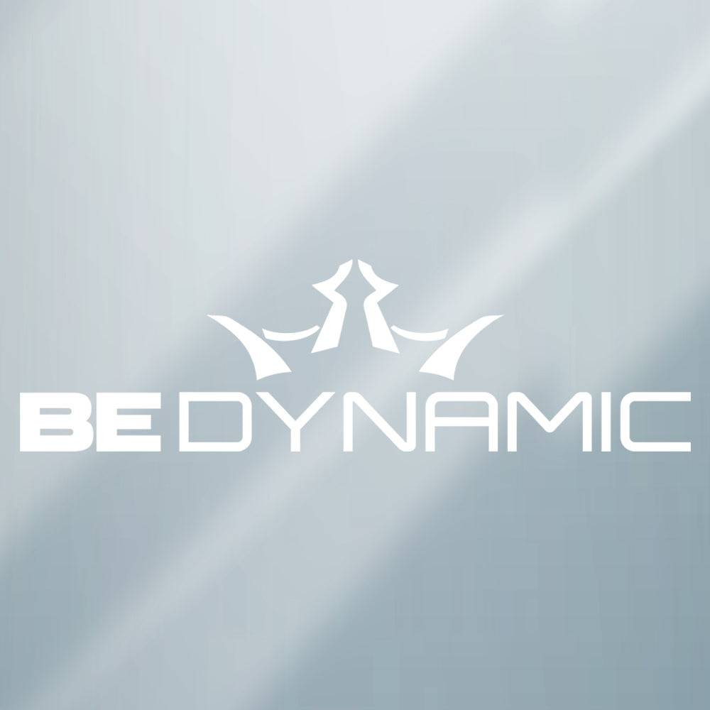 Dynamic Discs Accessory Dynamic Discs Be Dynamic Logo Vinyl Decal Sticker