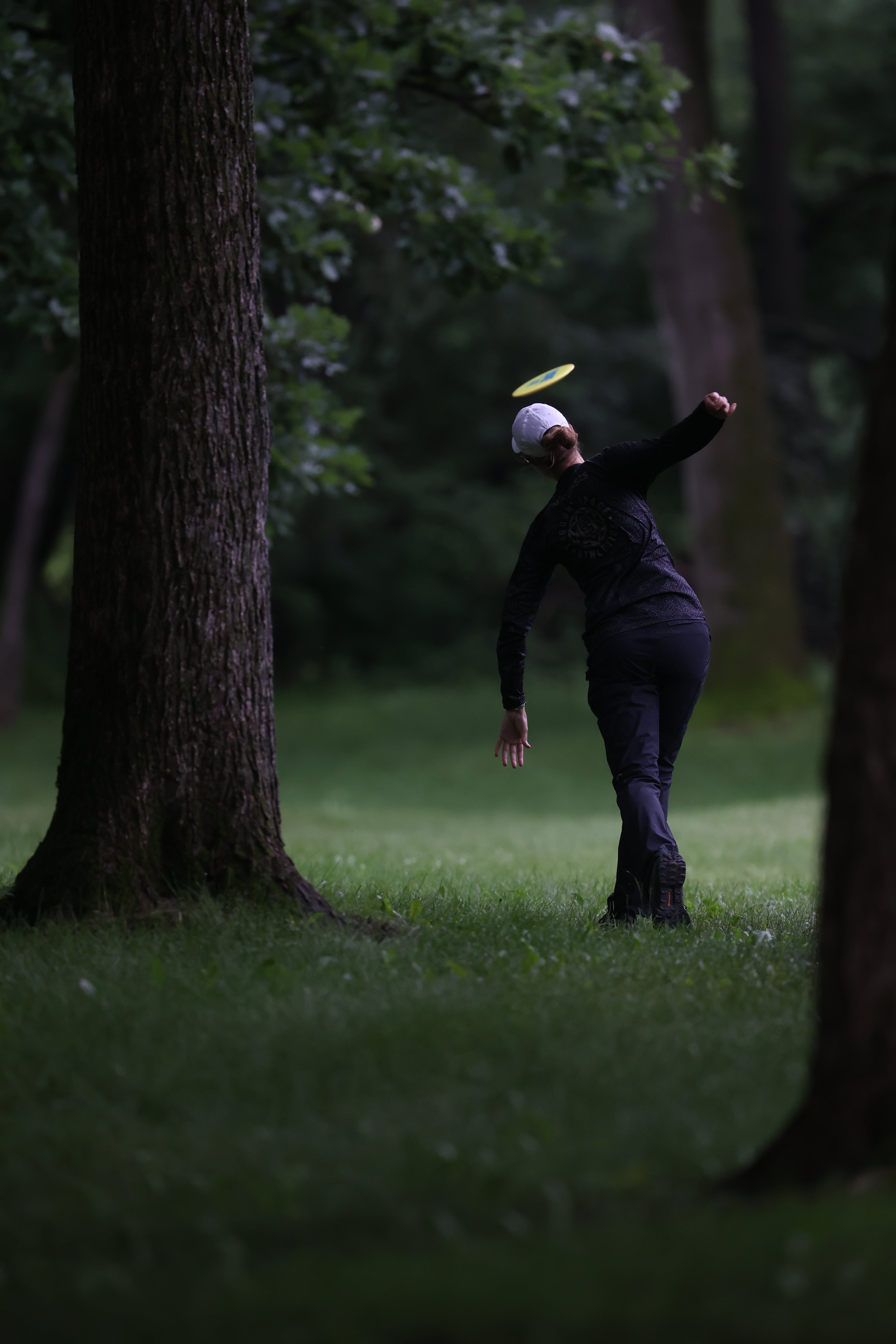 Most Popular Disc Golf Discs of 2024