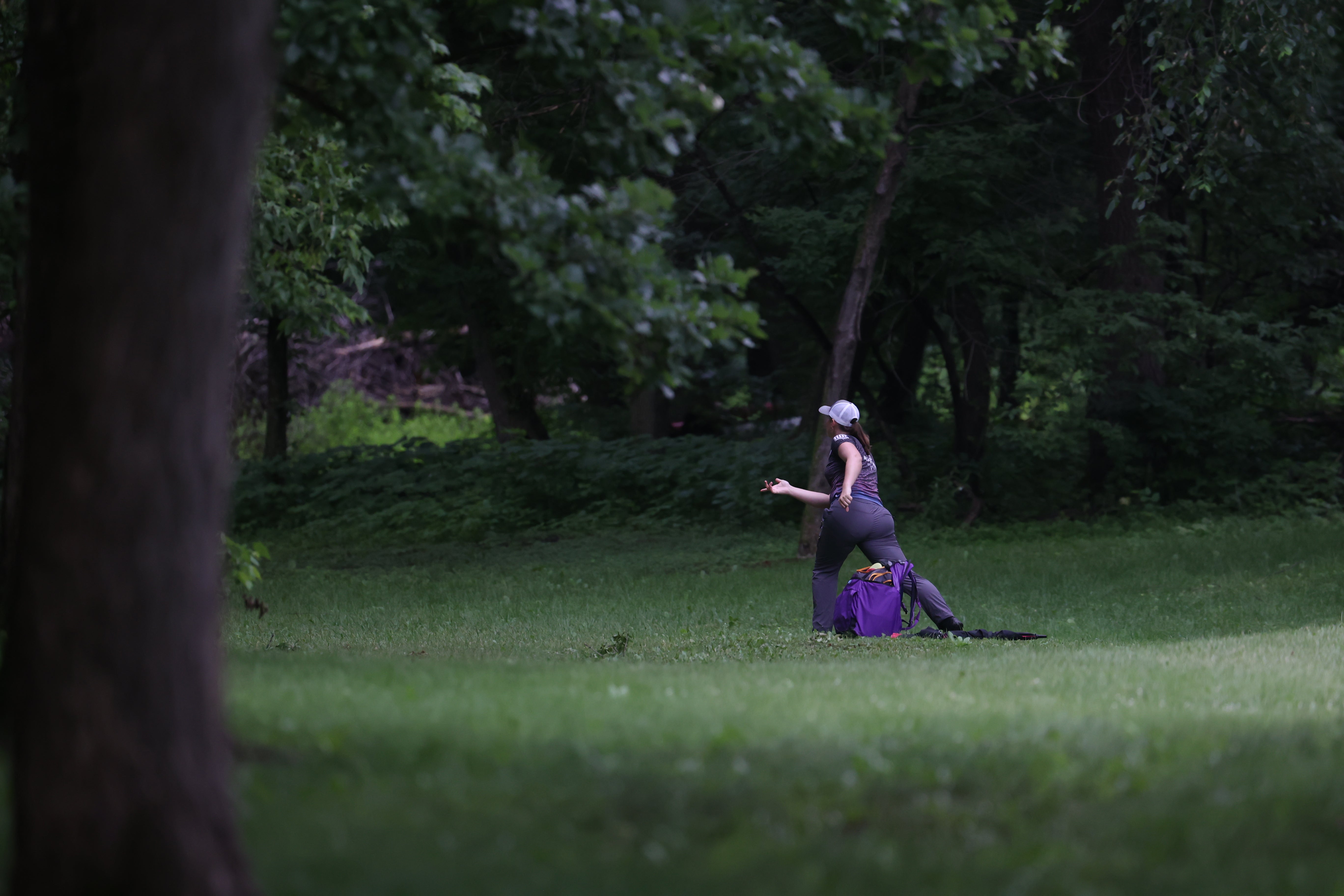 Most Popular Latitude 64 Disc Golf Discs of 2025