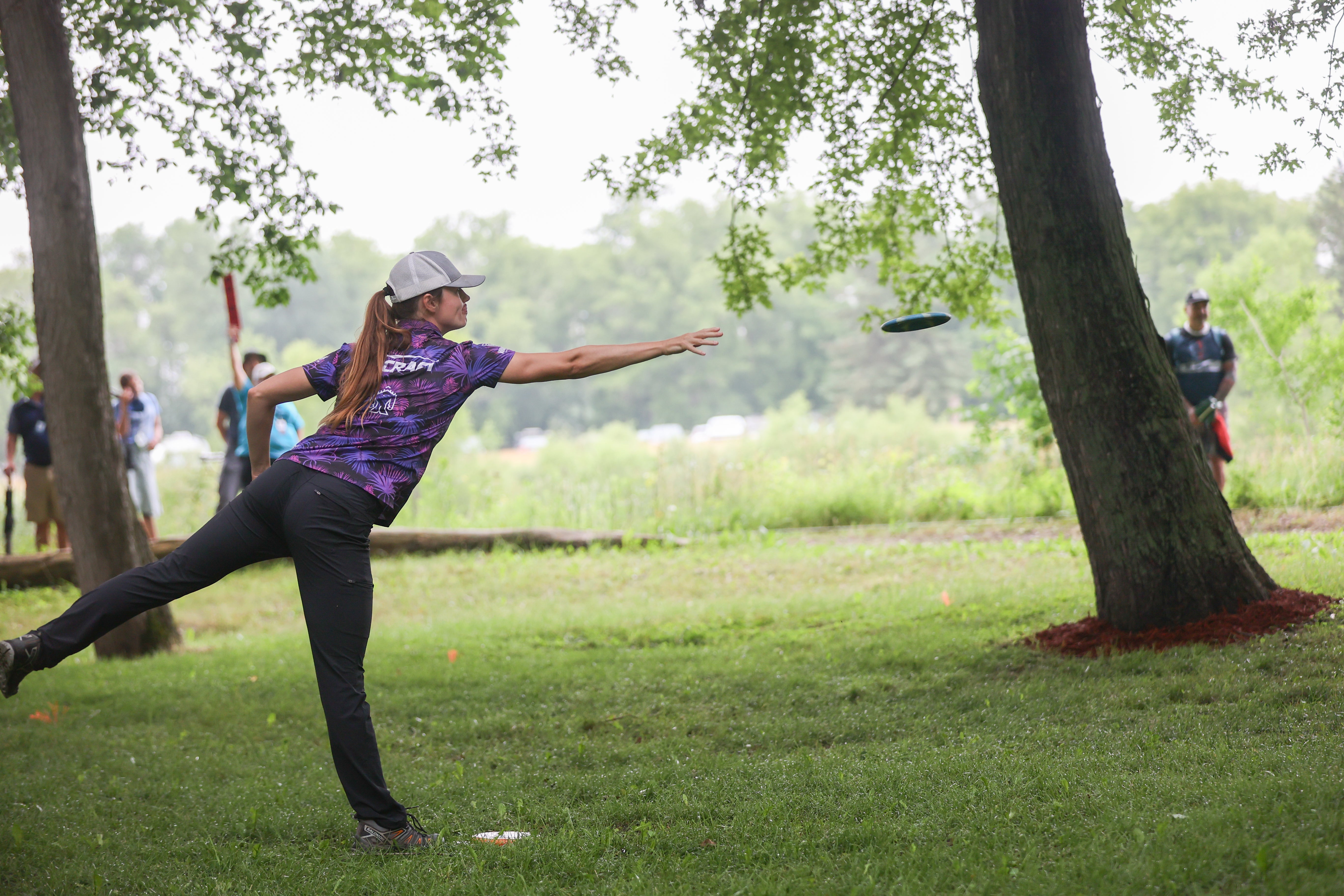 Do Expensive Disc Golf Discs Improve Performance?