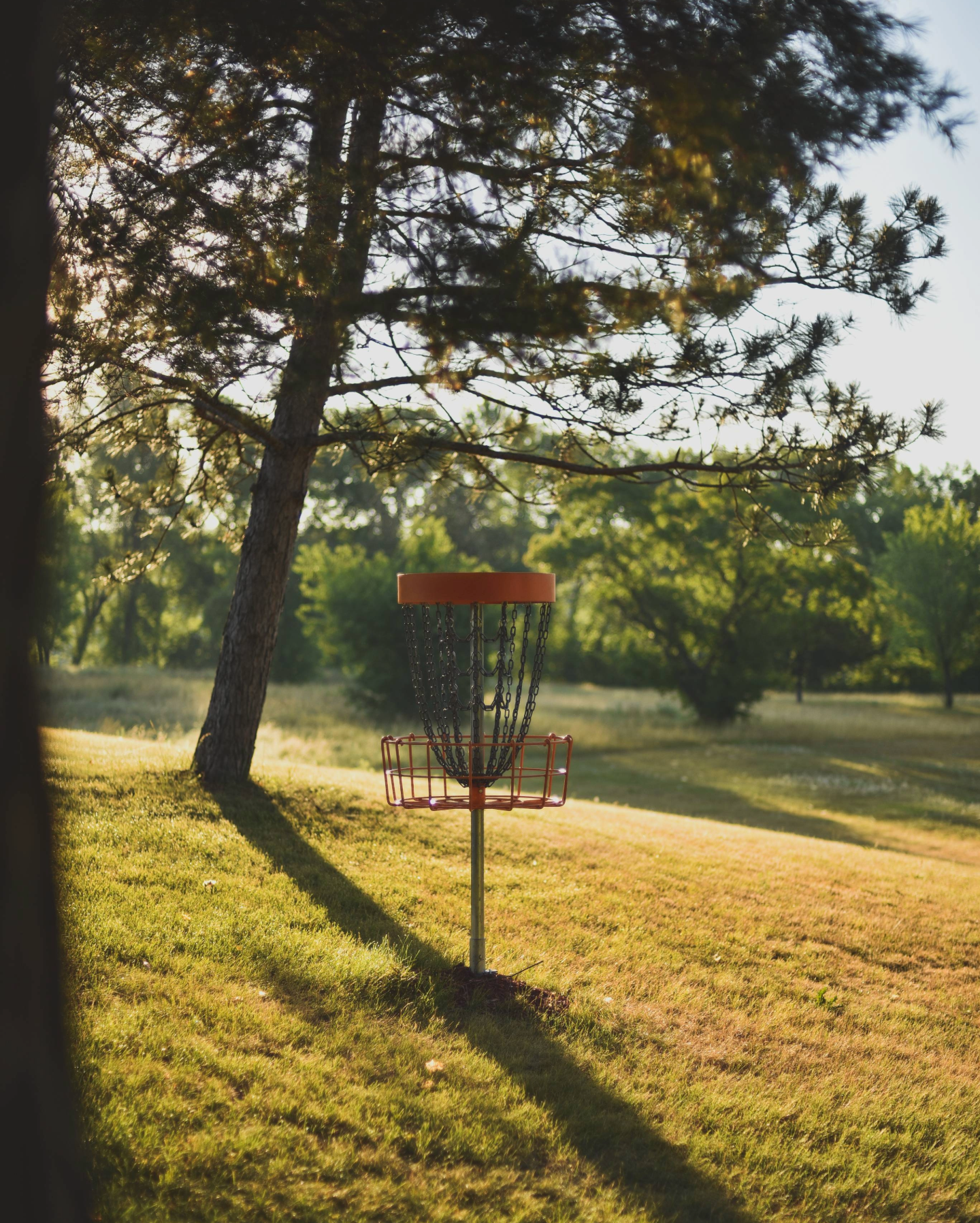 What Is Disc Golf?