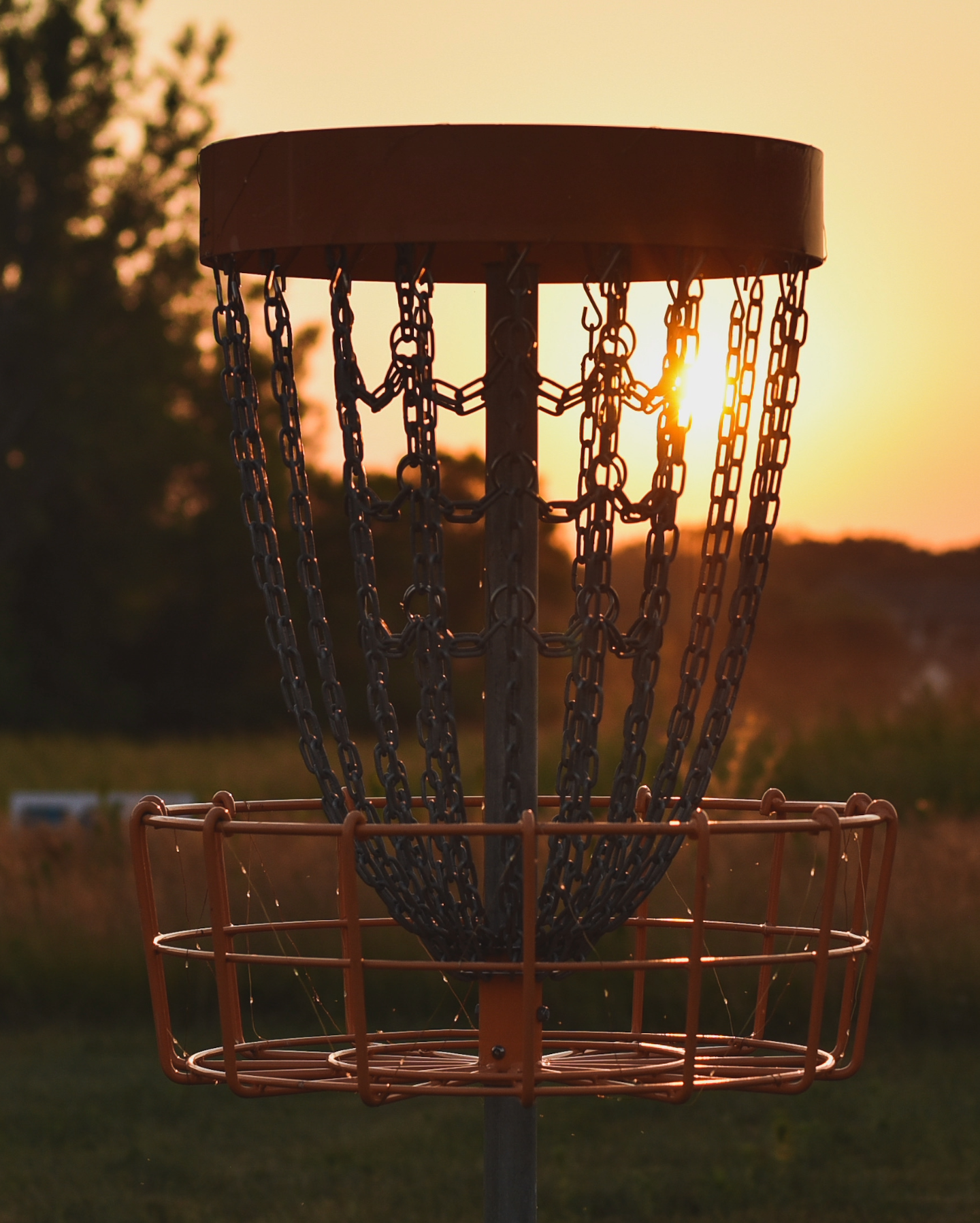 What Is Disc Golf? How to Play, Rules, and Beginner Basics
