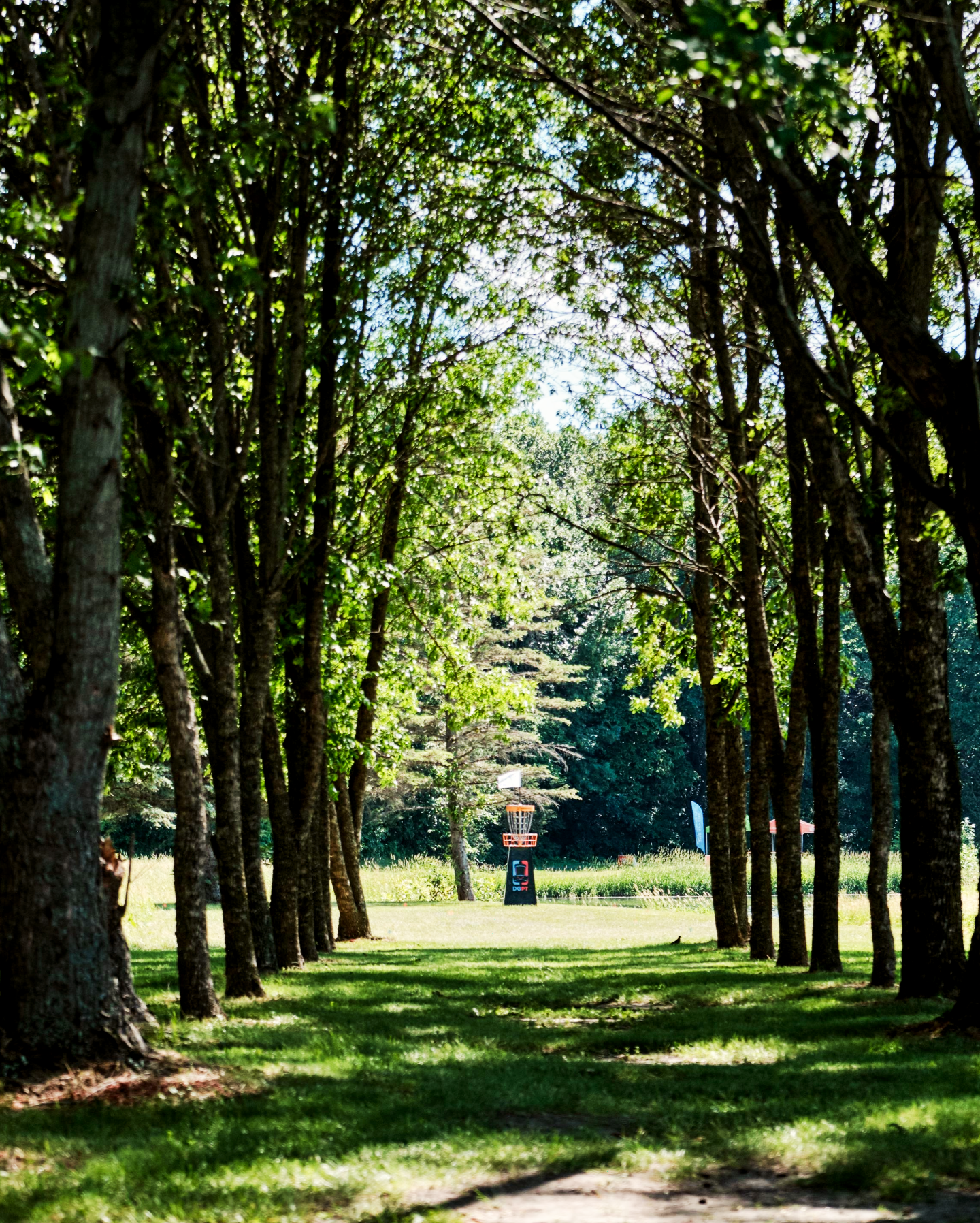 Beginner Disc Golf Guide: What You Need & Mistakes to Avoid
