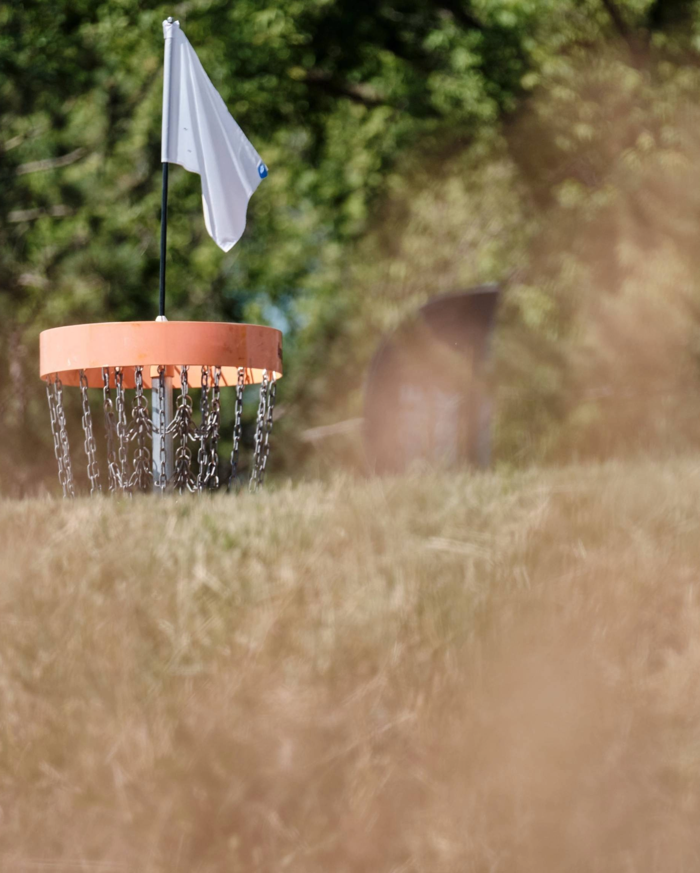 Disc Golf Plastic Types, Wear, and Maintenance Guide