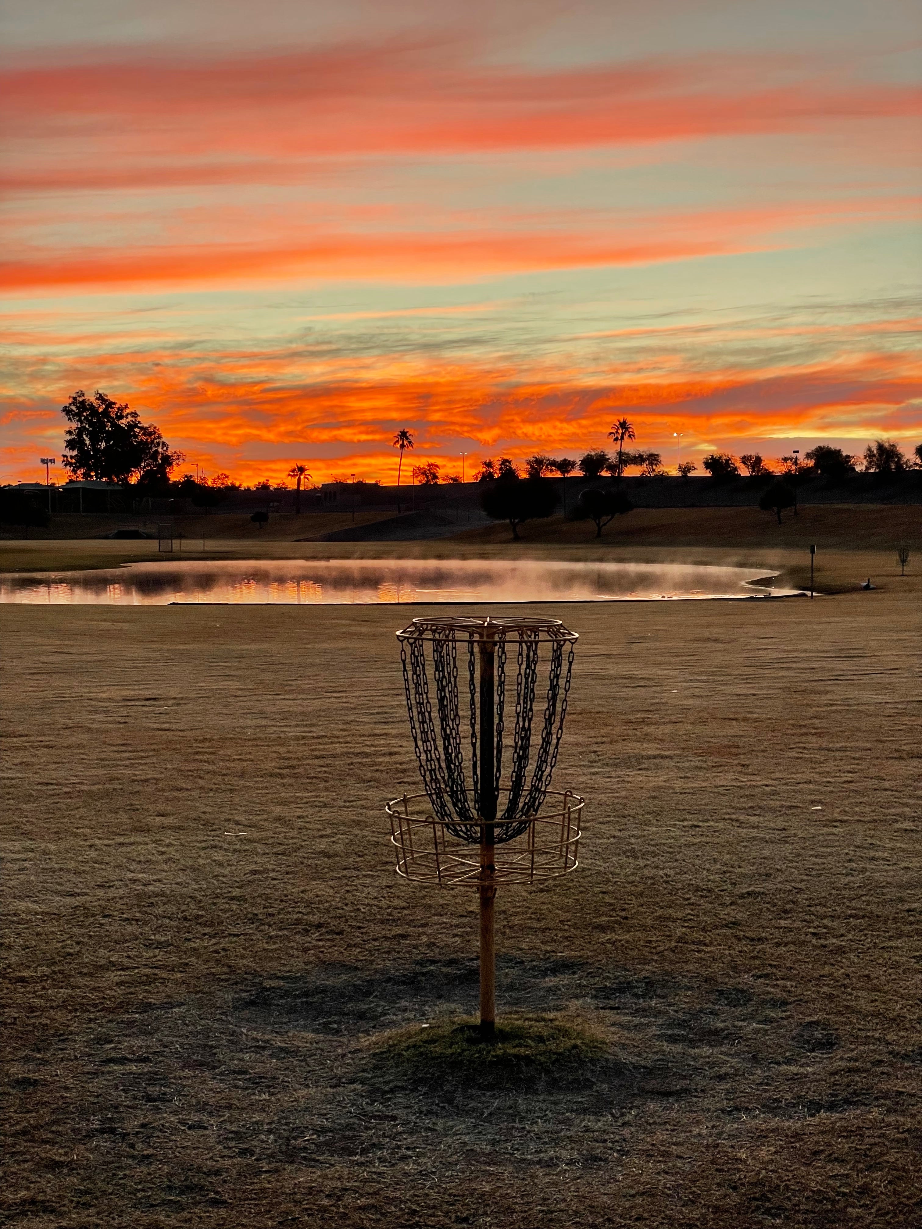 Disc Golf Plastic Types Explained: Which Plastic Is Right for You?
