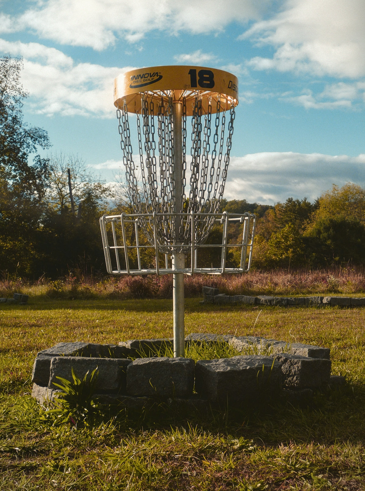 a frisbee golf basket in a grassy field