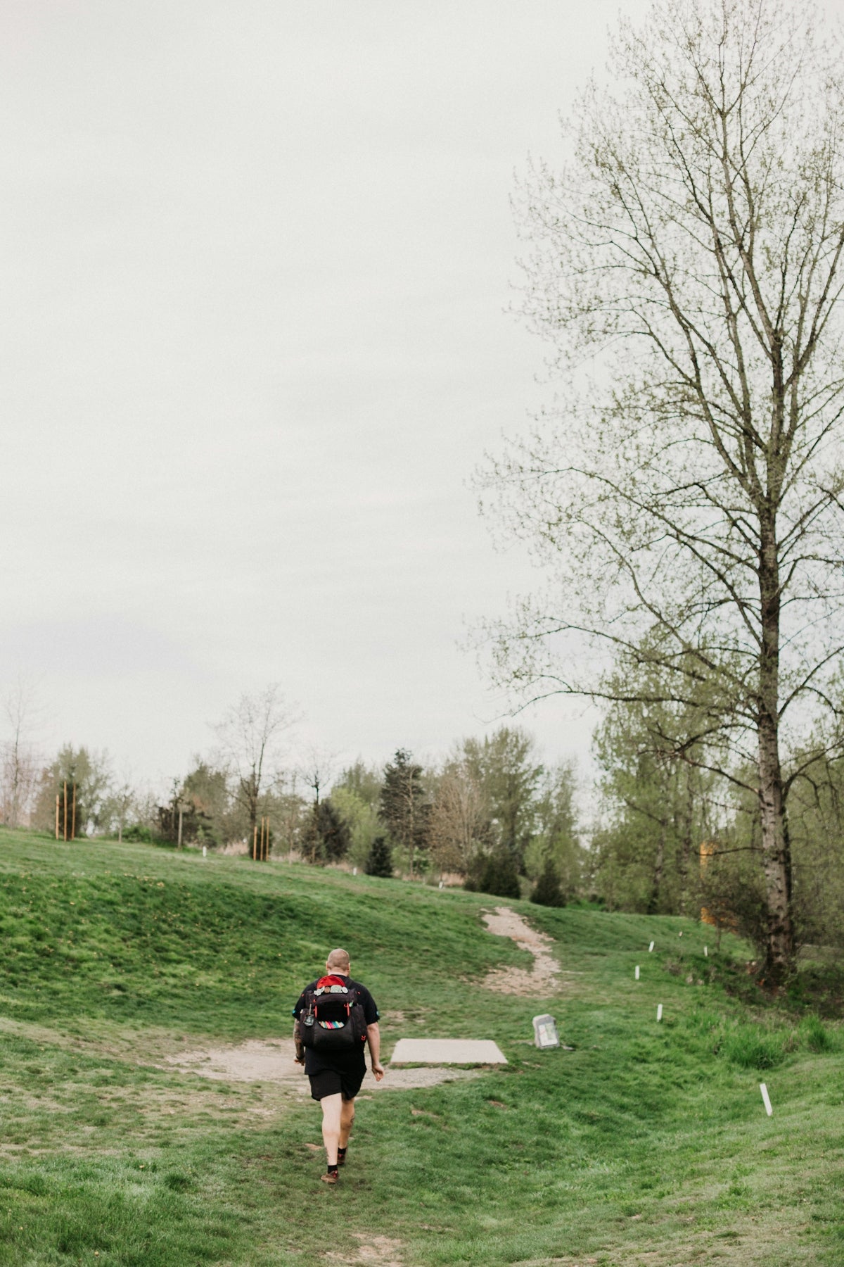 Person walking on grassy path towards trees