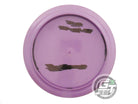 USED Innova GStar Tern 163g Lilac Lime Holo Foil Distance Driver Golf Disc