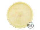 USED Dynamic Discs [RISLEY] Glow Hybrid Warden 173g Wiped Stamp Putter Golf Disc