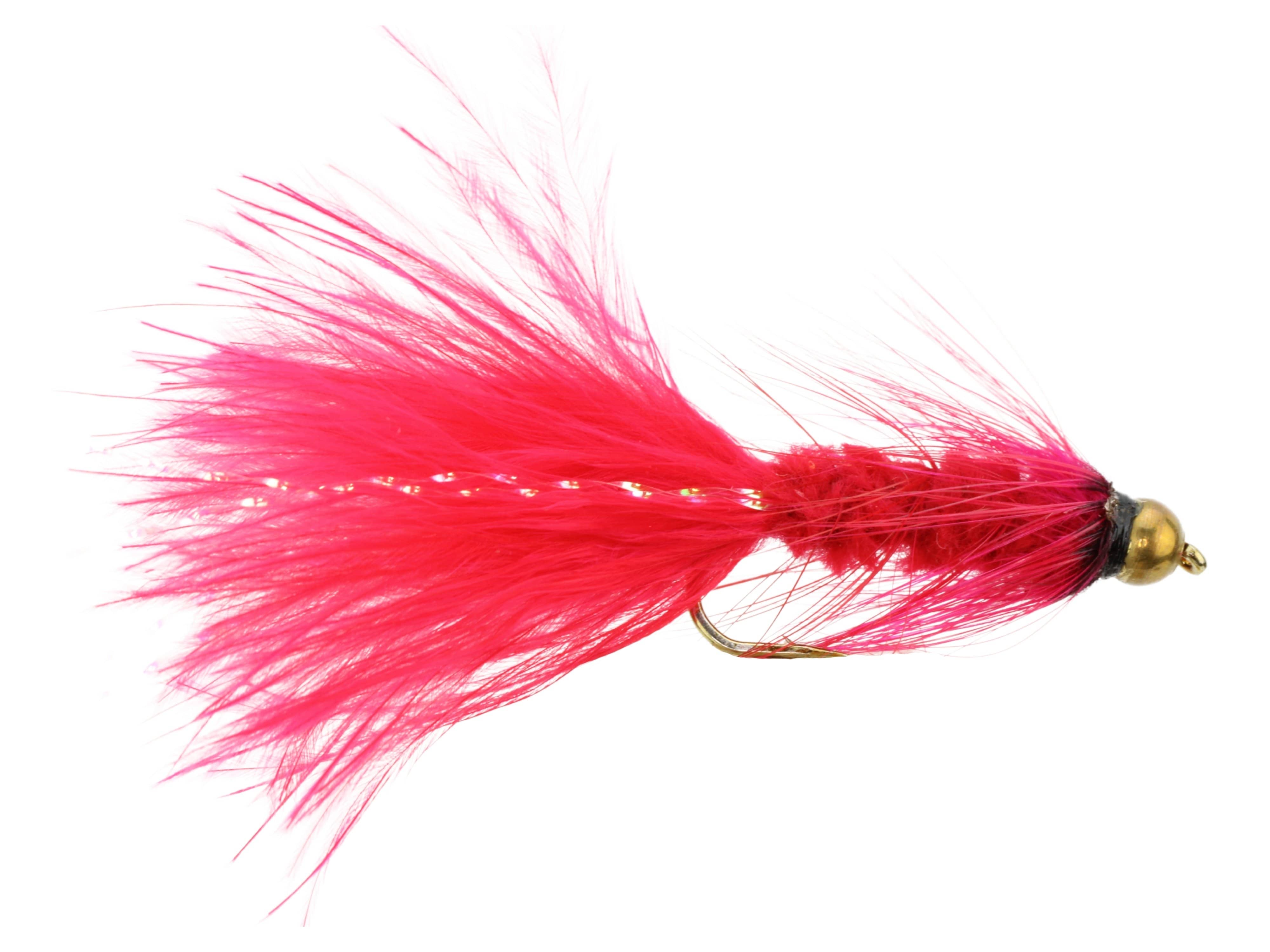 Wild Water Fly Fishing Crimson Wooly Bugger w/ Bead Head, Size 10, Qty. 6