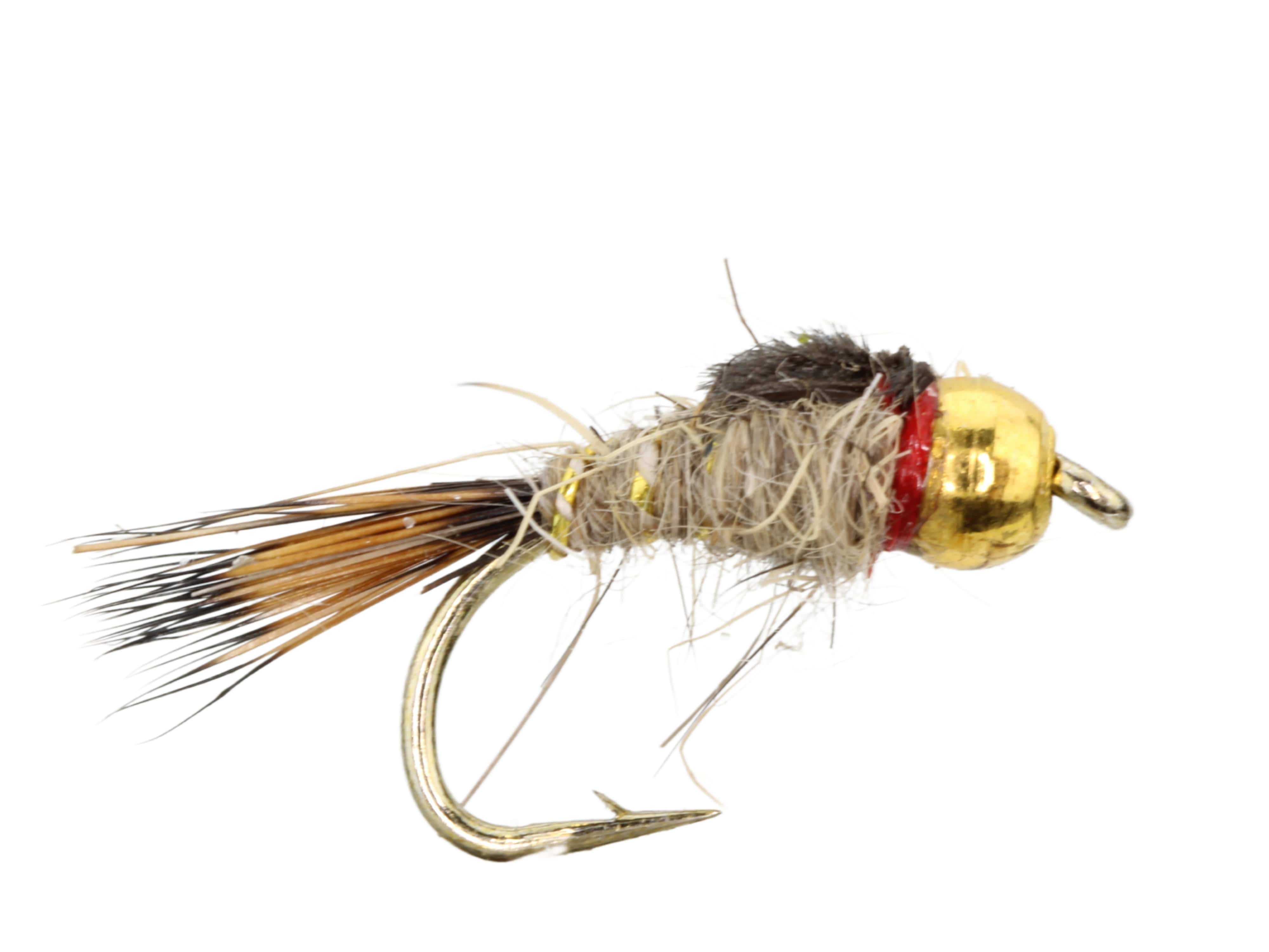 Wild Water Fly Fishing Gold Ribbed Hare's Ear Bead Head Nymph, Size 14, Qty. 6