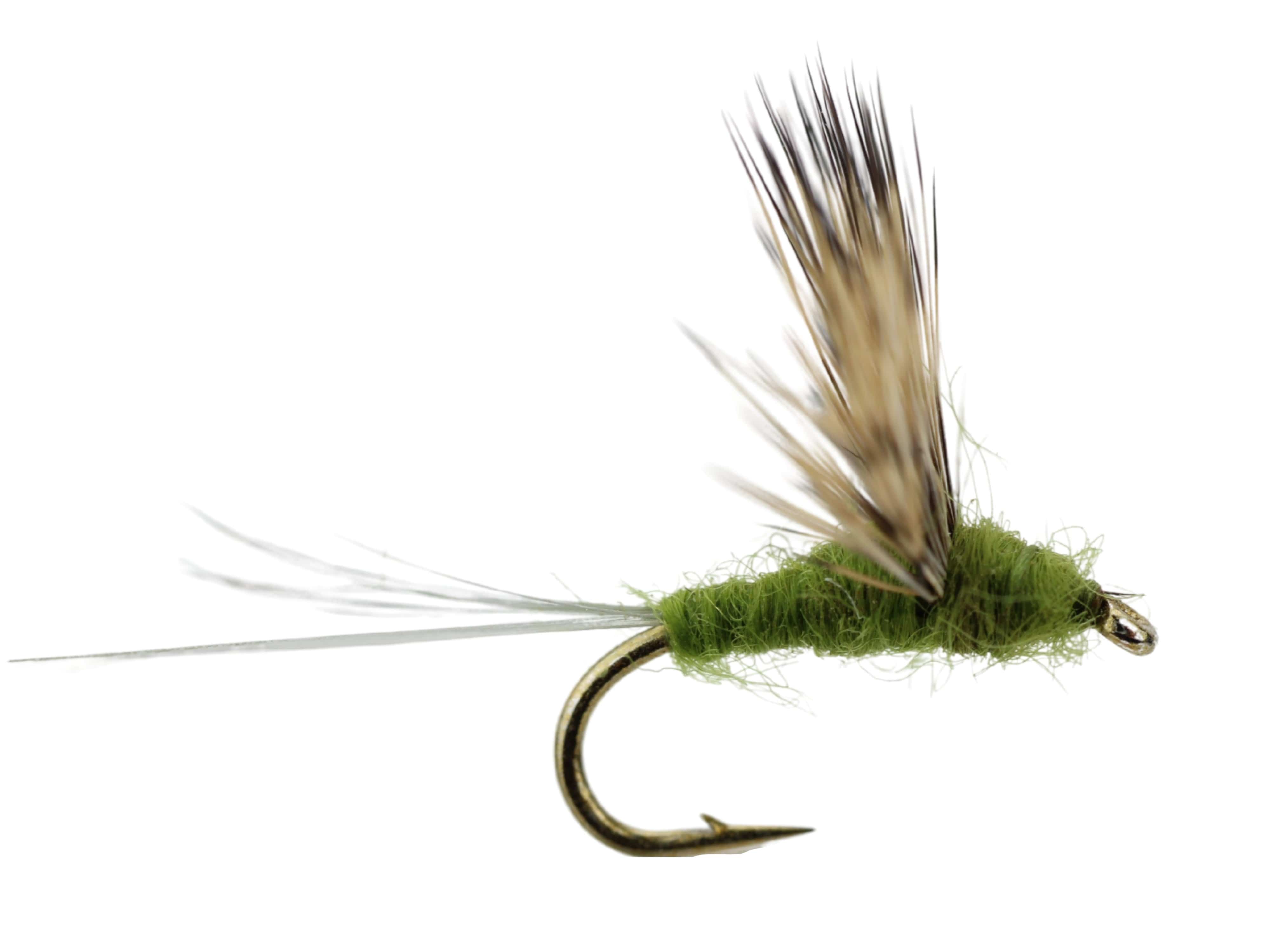 Wild Water Fly Fishing Baetis Comparadun, Size 16, Qty. 6