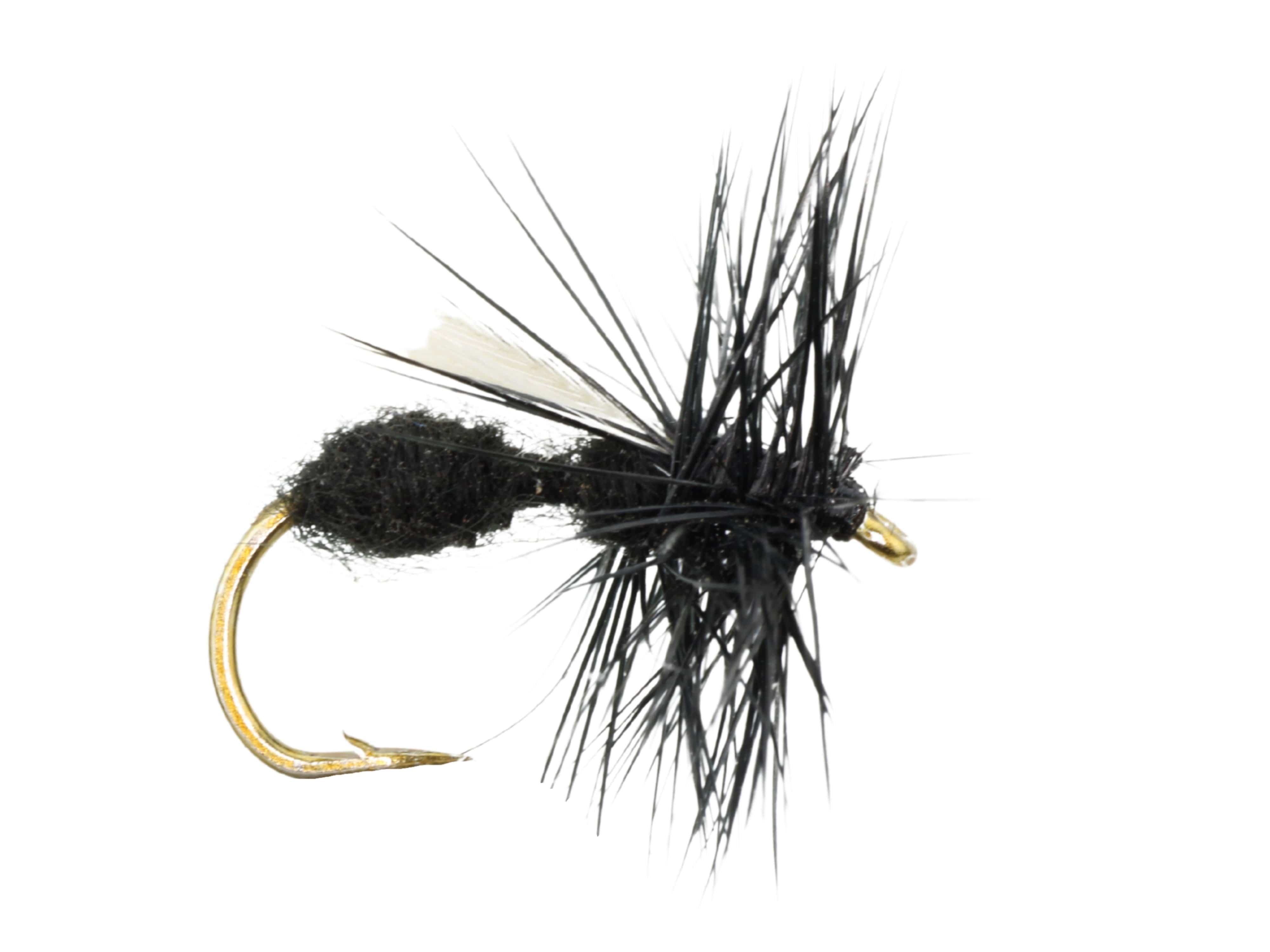 Wild Water Fly Fishing Winged Black Ant, Size 12, Qty. 6