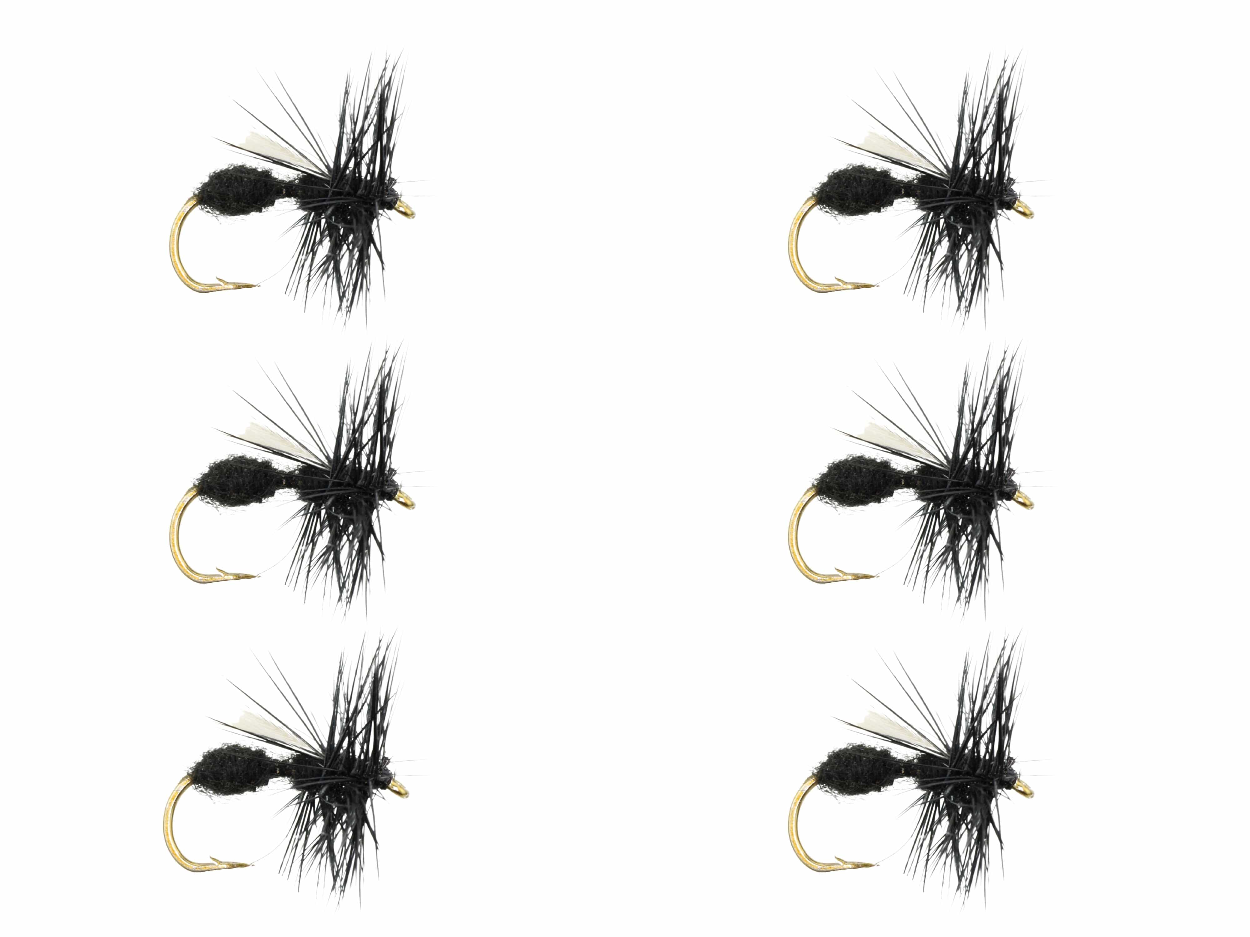 Wild Water Fly Fishing Winged Black Ant, Size 12, Qty. 6