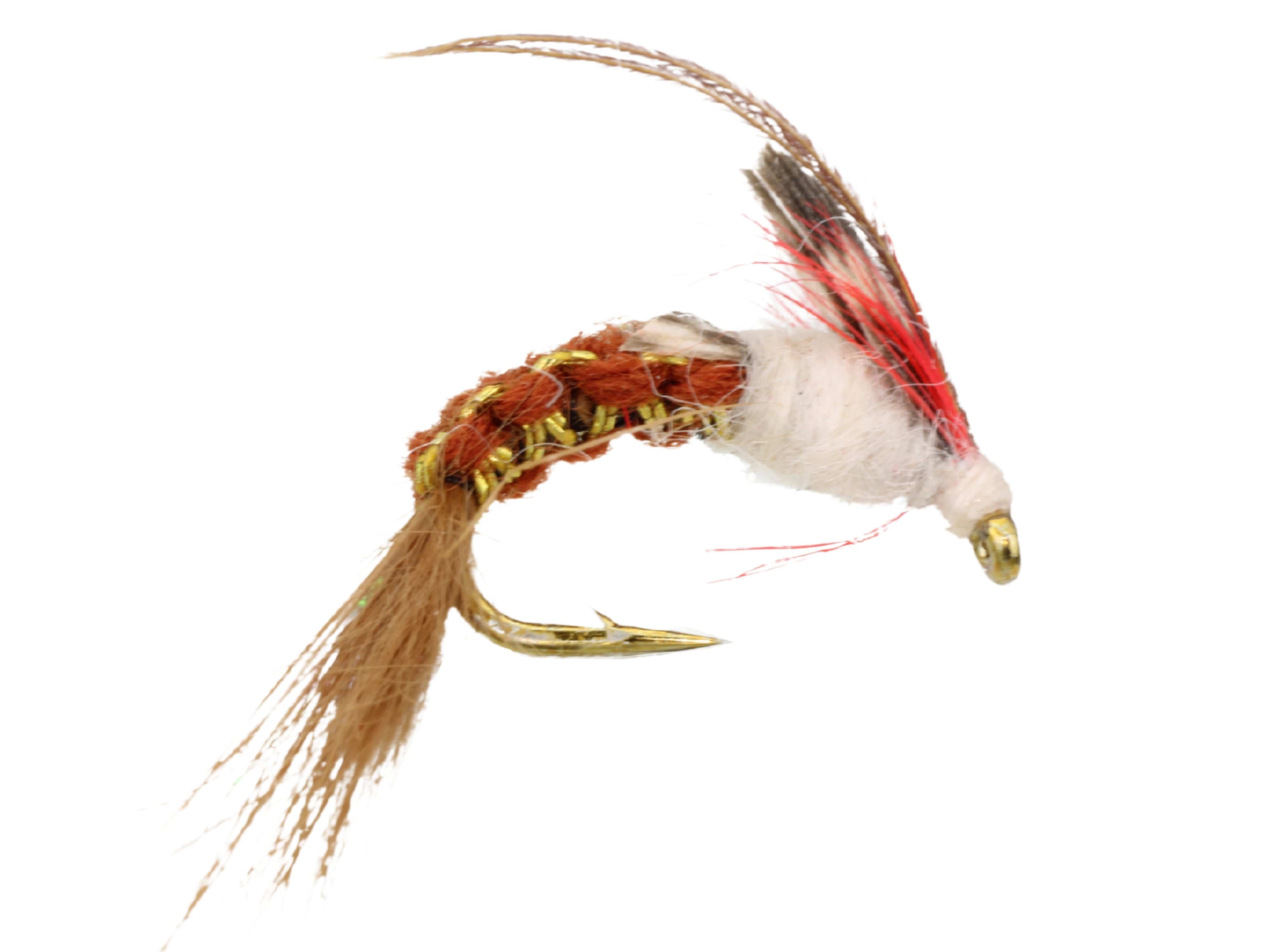 Wild Water Fly Fishing Woven Brown Caddis, Size 10, Qty. 6