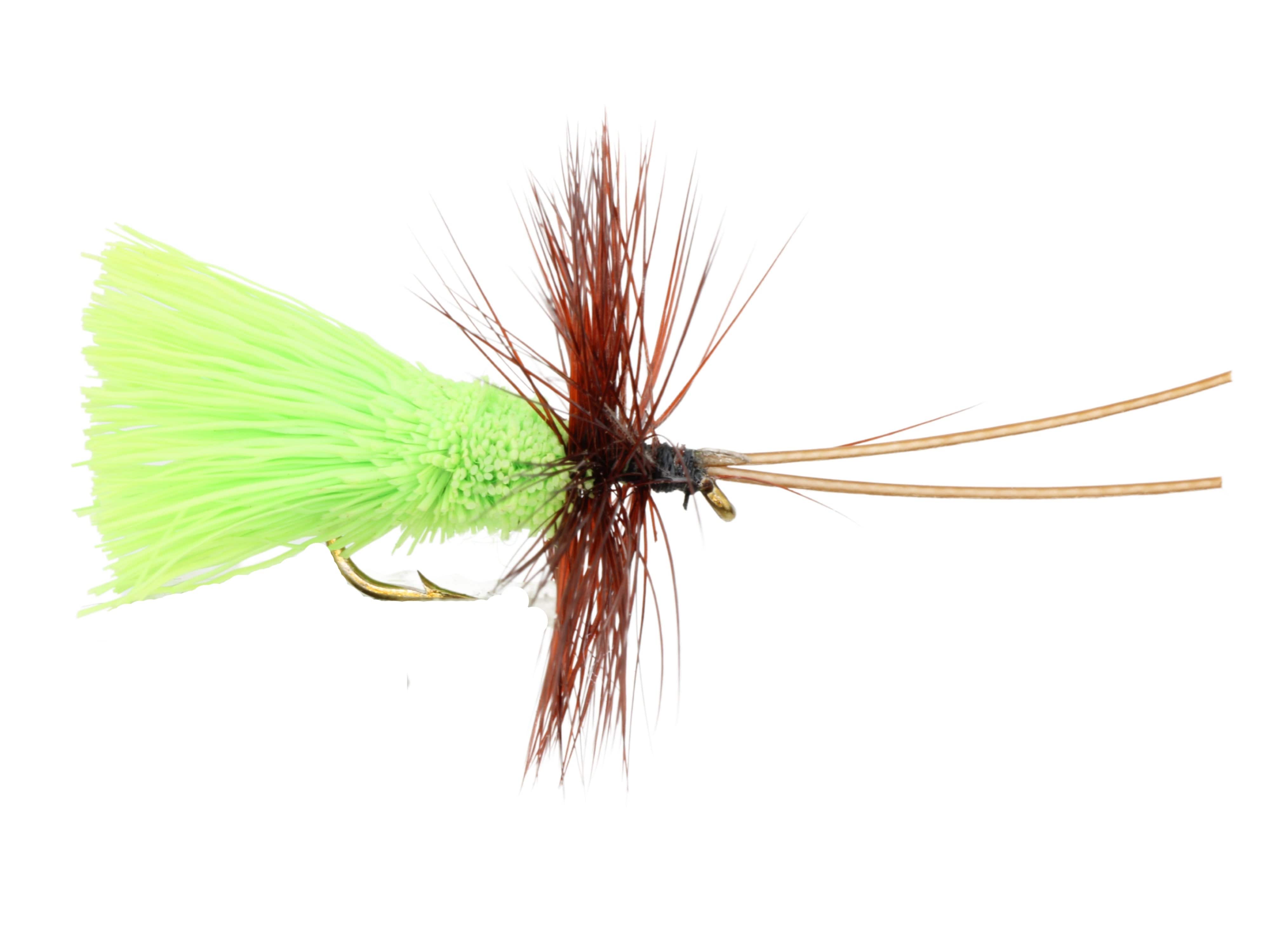 Wild Water Fly Fishing Chartreuse Goddard Caddis, Size 12, Qty. 6