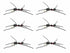 Wild Water Fly Fishing Black Foam Spider, Size 14, Qty. 6