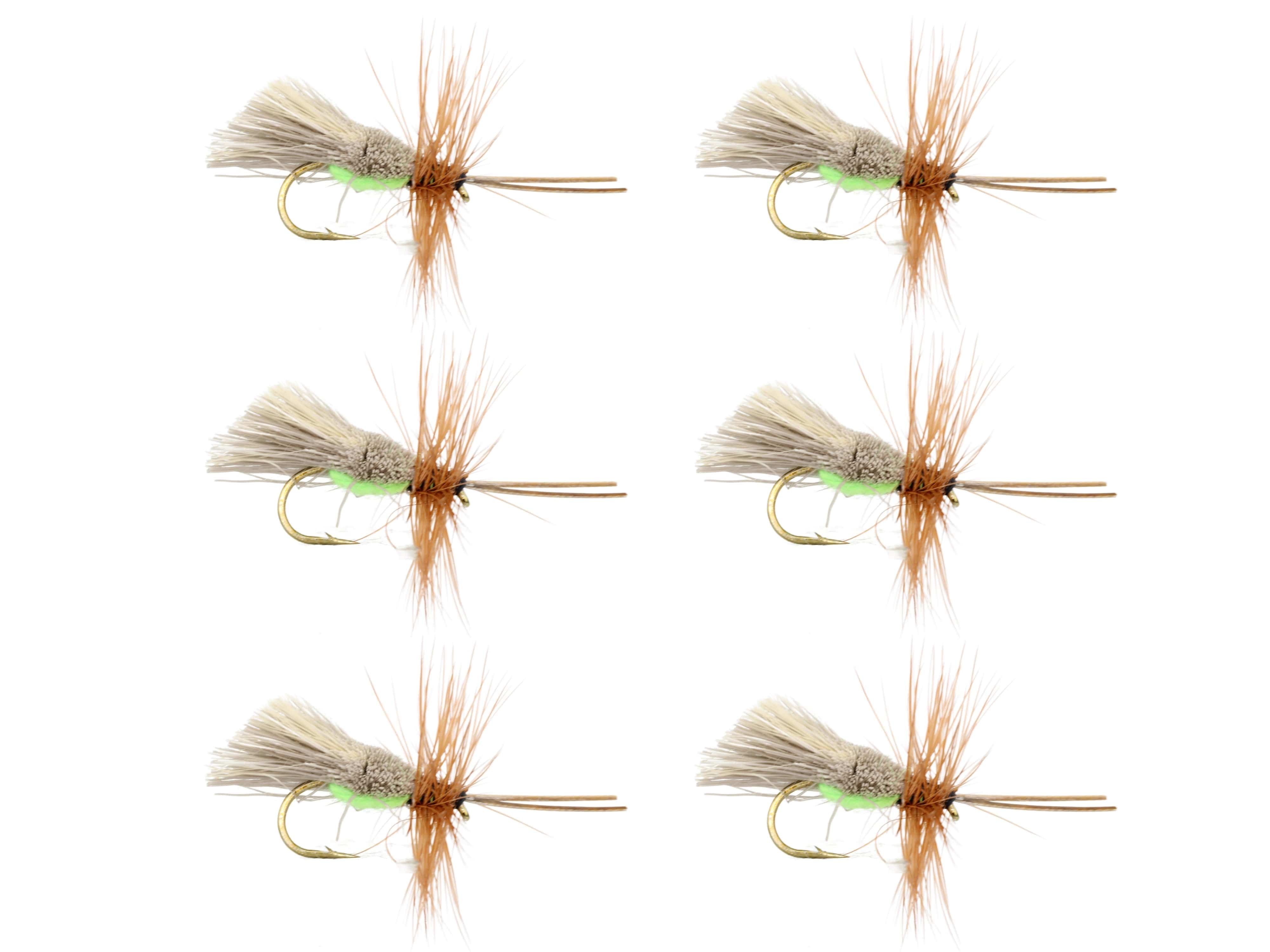 Wild Water Fly Fishing Goddard Caddis with Chartreuse Underside, Size 12, Qty. 6