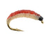 Wild Water Fly Fishing Gooey Grub, Size 10, Qty. 6