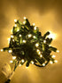 Minleon USA & Holiday Lighting Management 5mm LED Outdoor String Lights