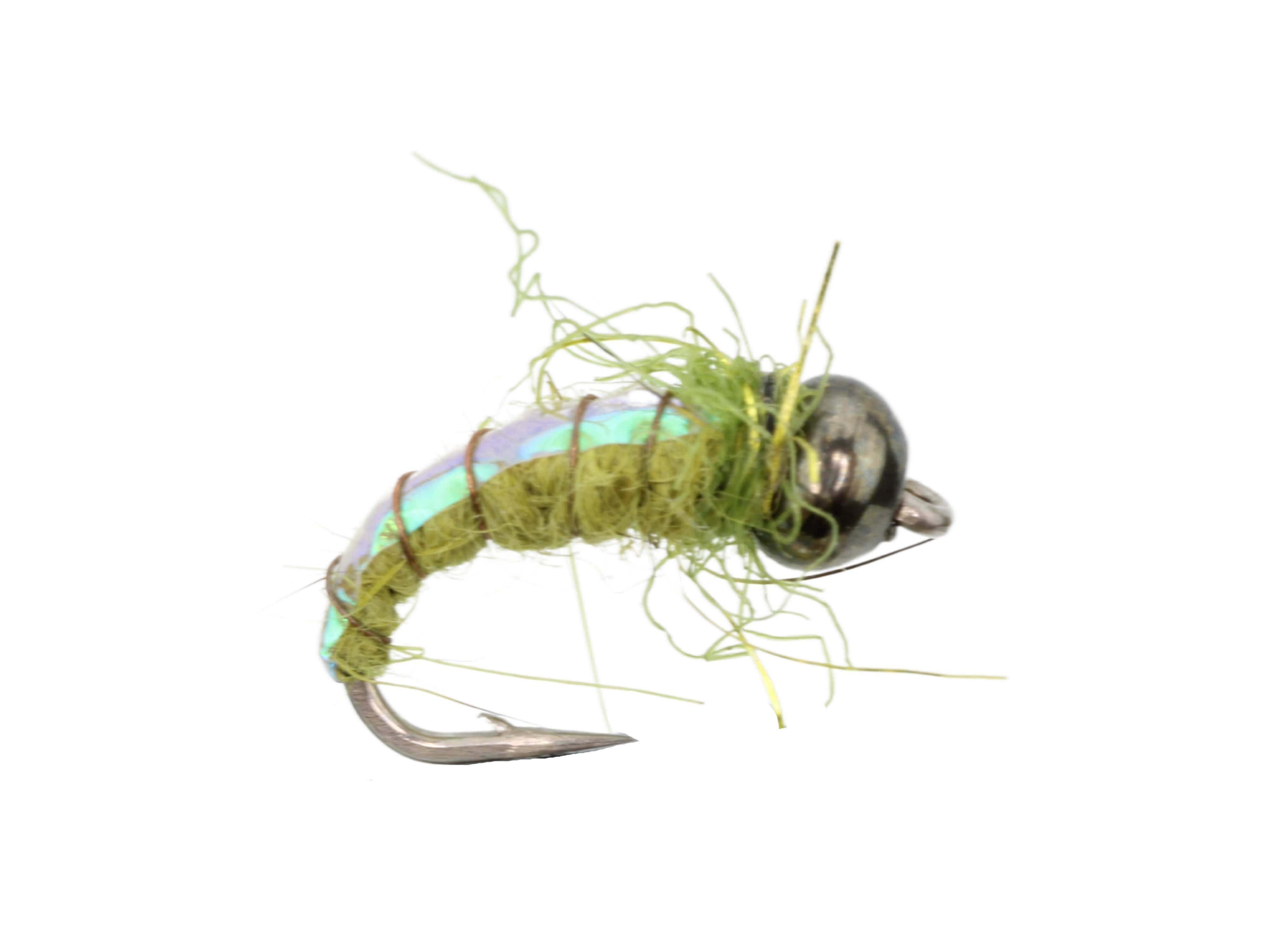 Wild Water Fly Fishing Fly Tying Material Kit, Olive Electric Caddis