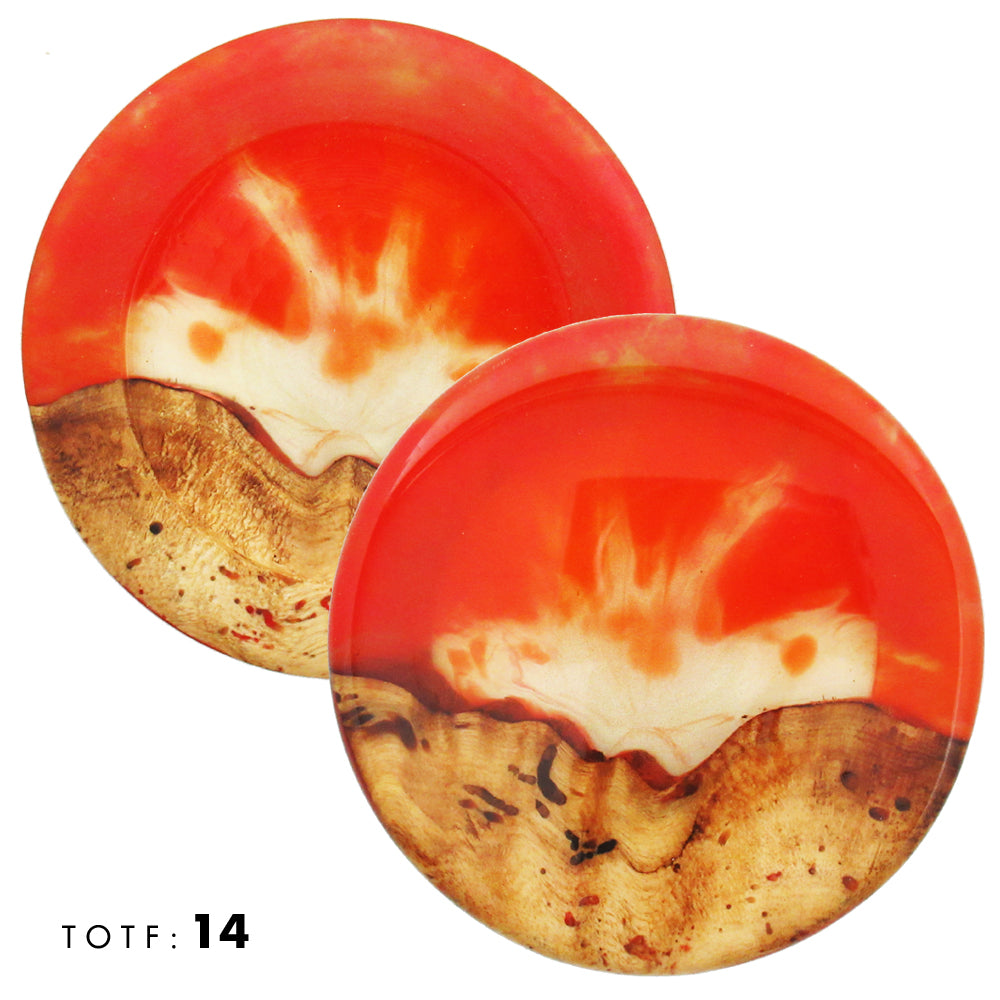 Treasures of the Forest Wood & Resin Mini Marker Disc