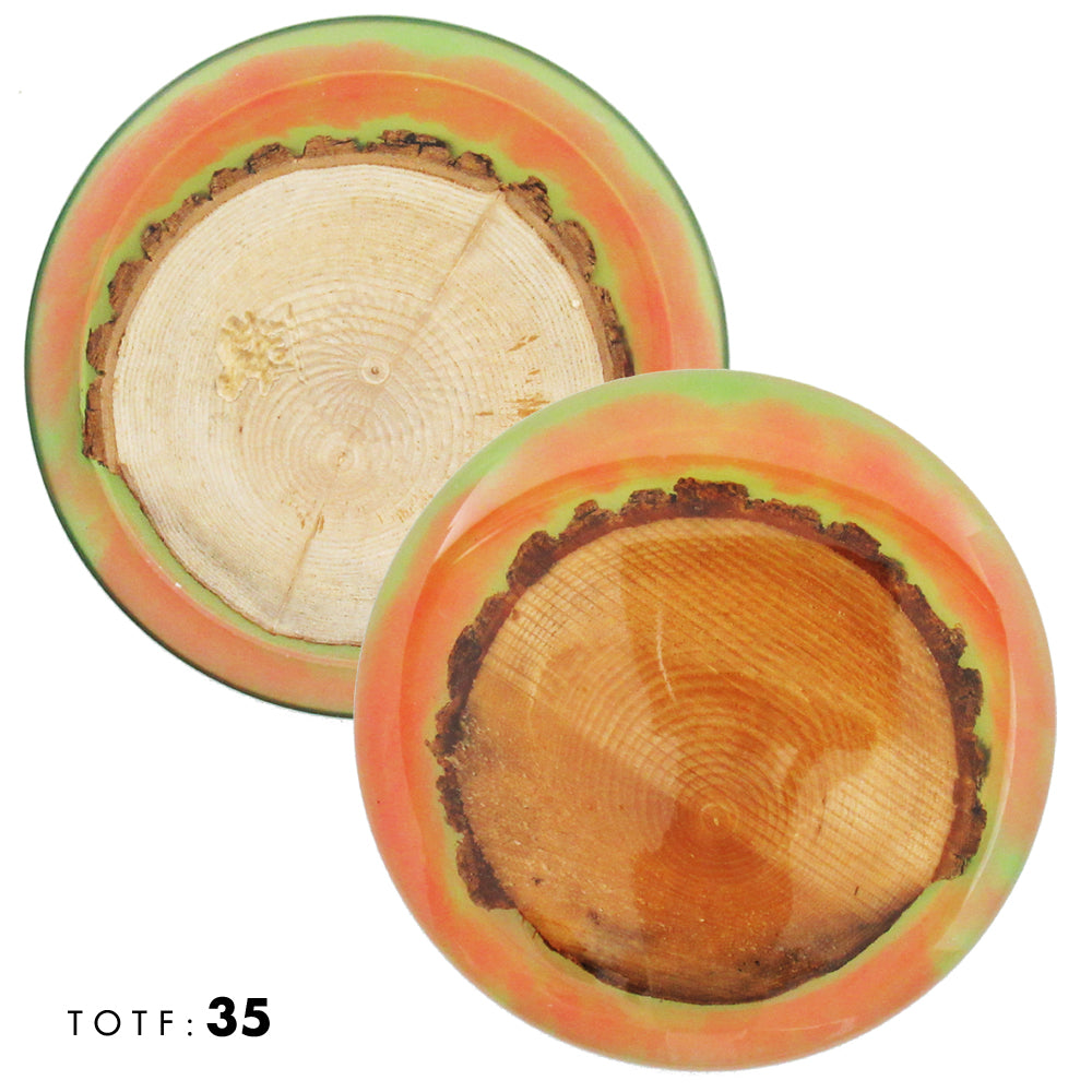 Treasures of the Forest Wood & Resin Mini Marker Disc