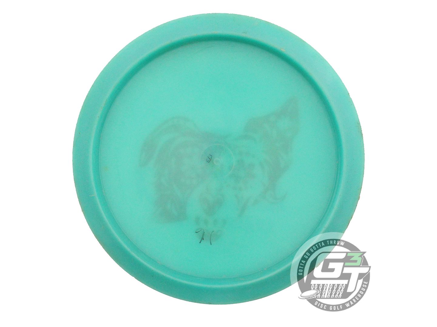 USED Innova X-OUT Champion Glow Teebird 173g Seafoam Fairway Driver Golf Disc