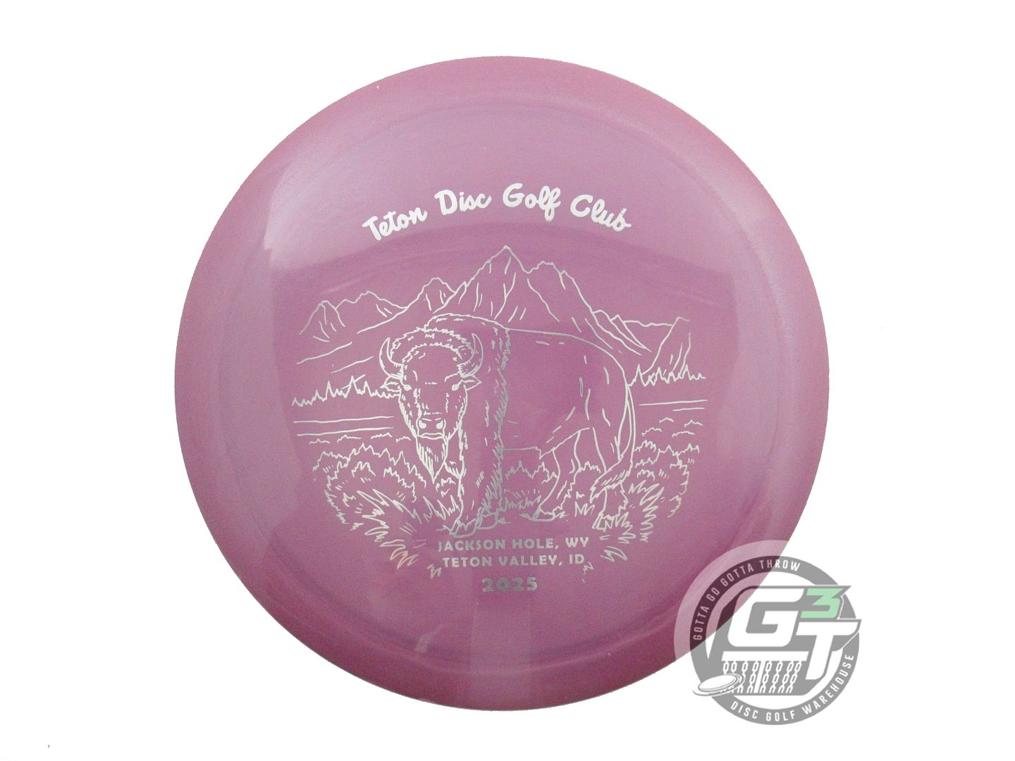 USED Innova GStar Wraith 169g Purple Silver Foil Distance Driver Golf Disc