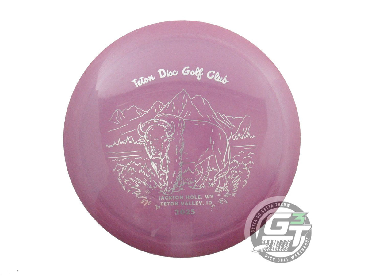 USED Innova GStar Wraith 169g Purple Silver Foil Distance Driver Golf Disc